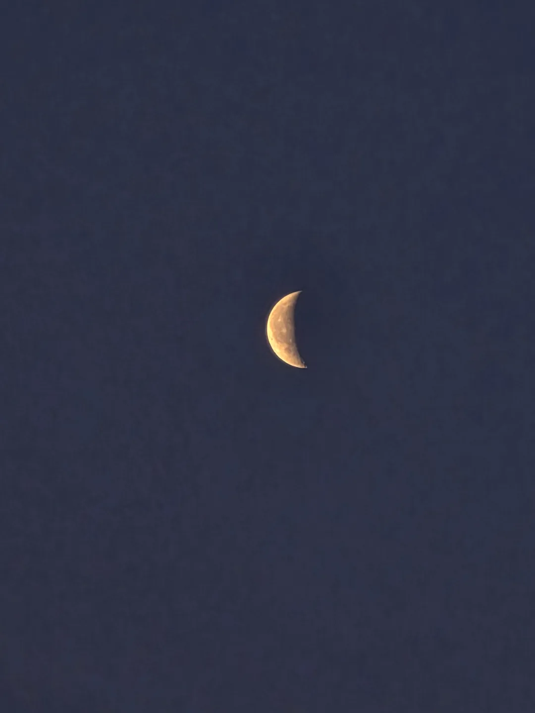 Trăng rạng đông🌛