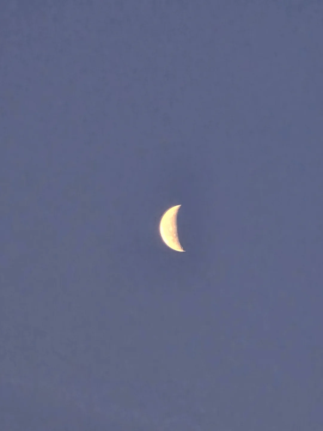 Trăng rạng đông🌛
