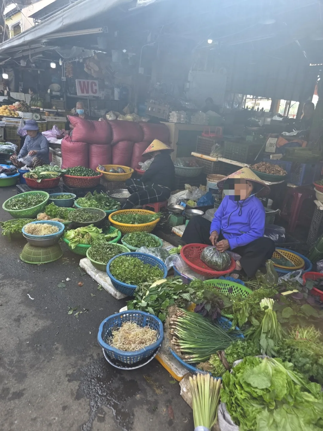 🇻🇳 Chuyến du lịch Đà Nẵng của mẹ và hai con gái _ Buổi hẹn hò chợ sớm Hội An cùng nàng công chúa chic của tôi