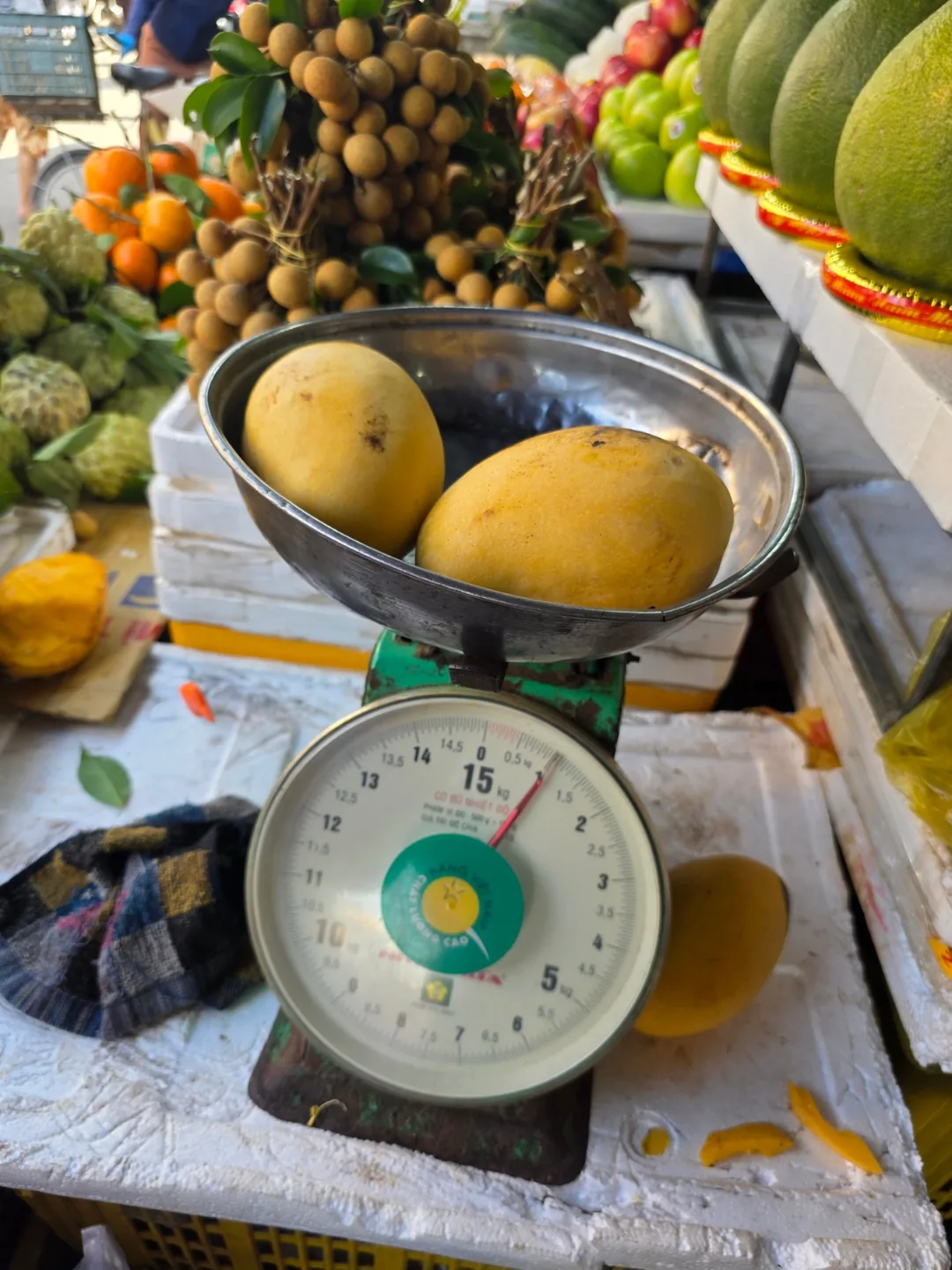 🇻🇳 Chuyến du lịch Đà Nẵng của mẹ và hai con gái — Xoài 1kg chỉ 30.000 đồng! Mua sắm chợ sớm Hội An