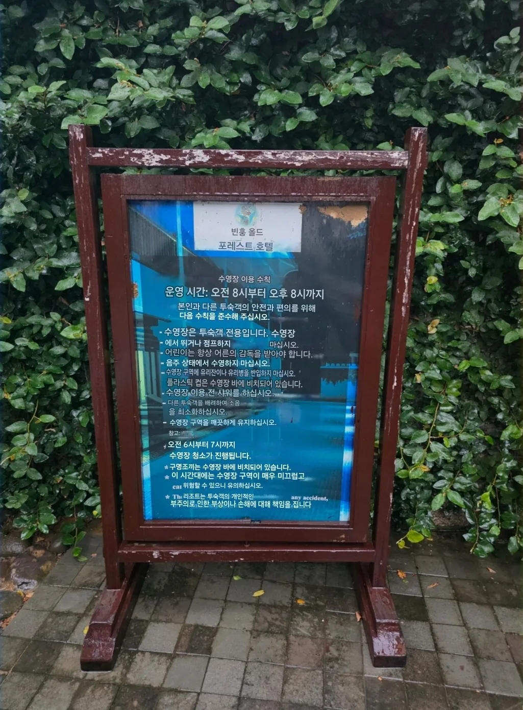 🇻🇳 Chuyến du lịch Đà Nẵng của gia đình ba thế hệ_ Chỗ ở giá hời ở Hội An! Hồ bơi khách sạn Vinh Hung Old Town Hotel