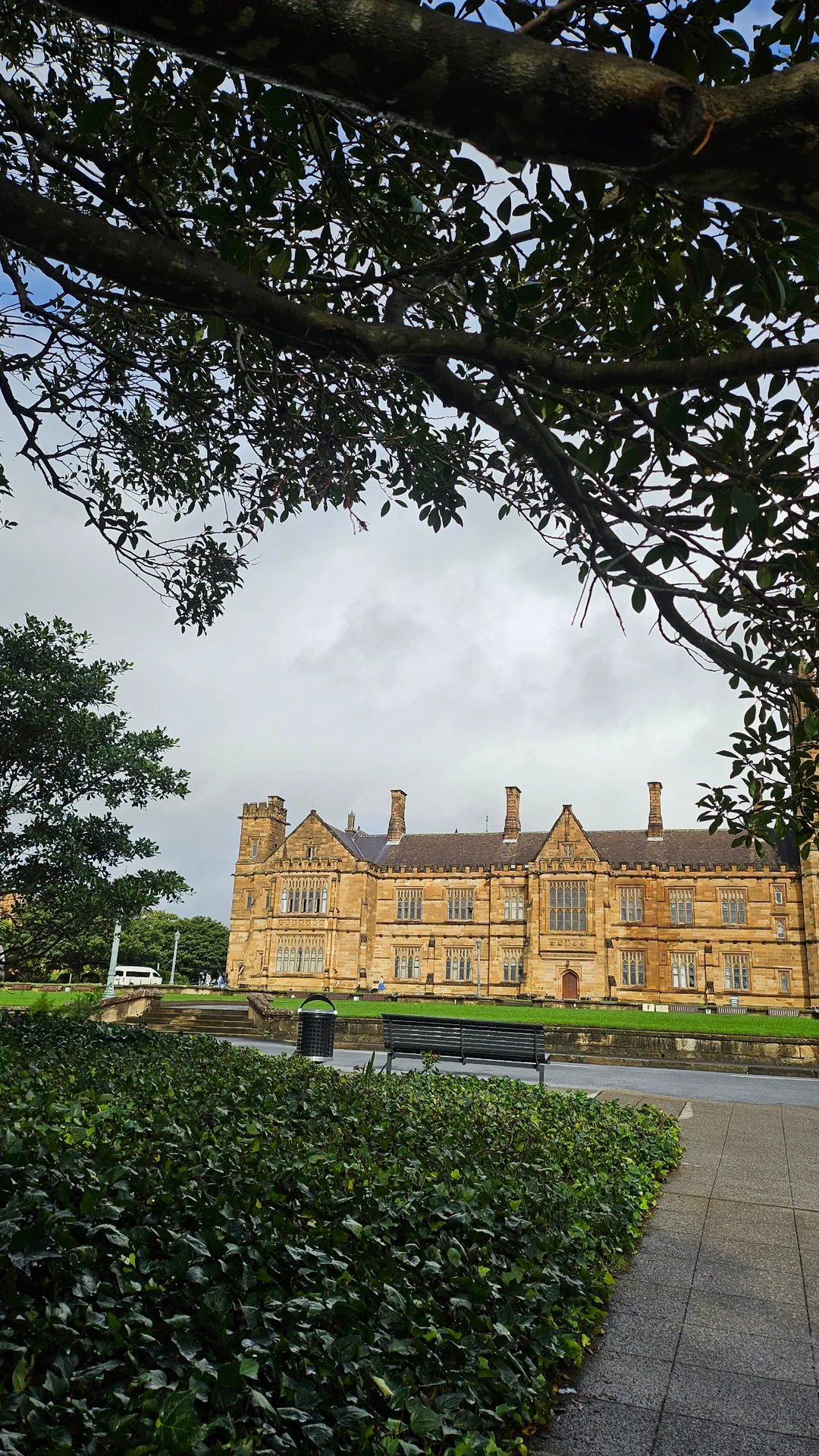 🇦🇺Trường Đại học Sydney đẹp ơi là đẹp