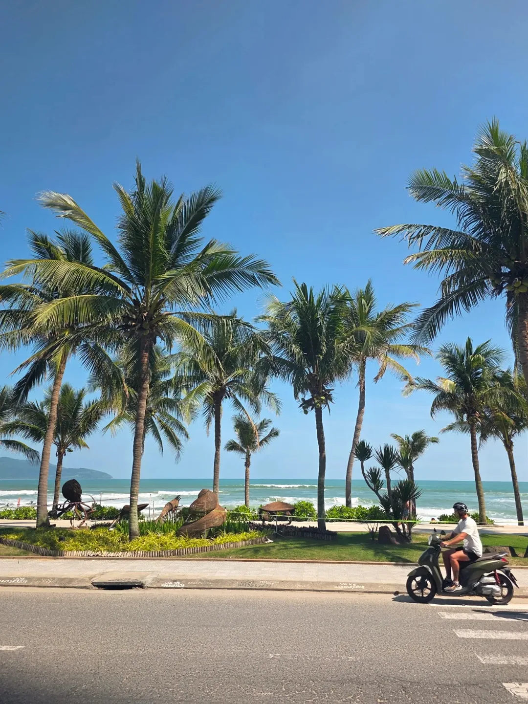 🇻🇳Chuyến du lịch Đà Nẵng của ba mẹ con_ Tour sinh thái đặc biệt Hội An0️⃣ Bắt đầu~!! Hướng dẫn viên là ai vậy??🤔