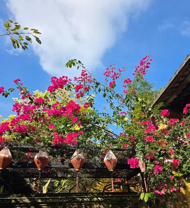🌈Dự báo thời tiết Hội An 10 ngày (260330~260408)