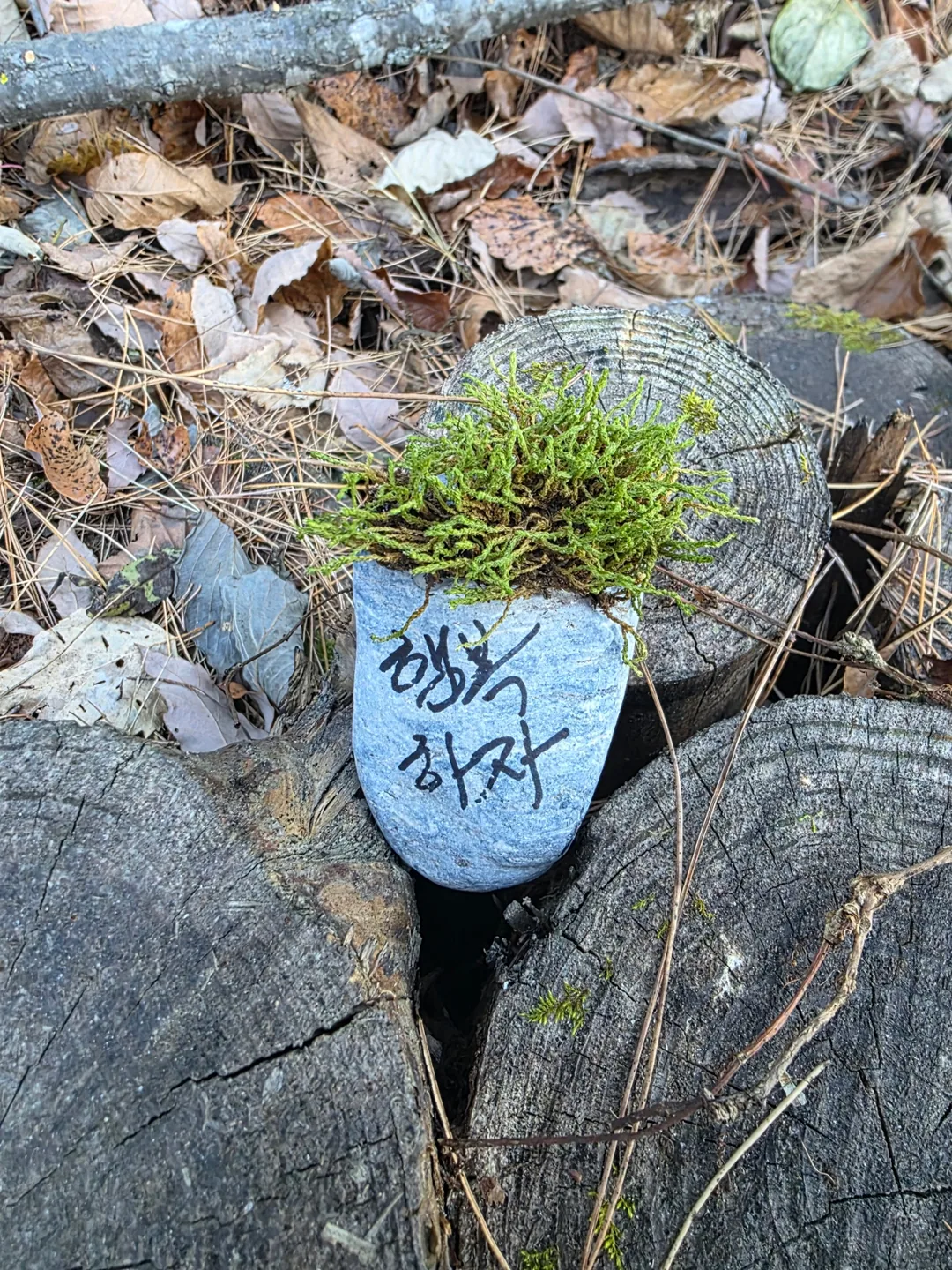 🇰🇷 Cung đường Hanggol Sumbau, Jeongseon