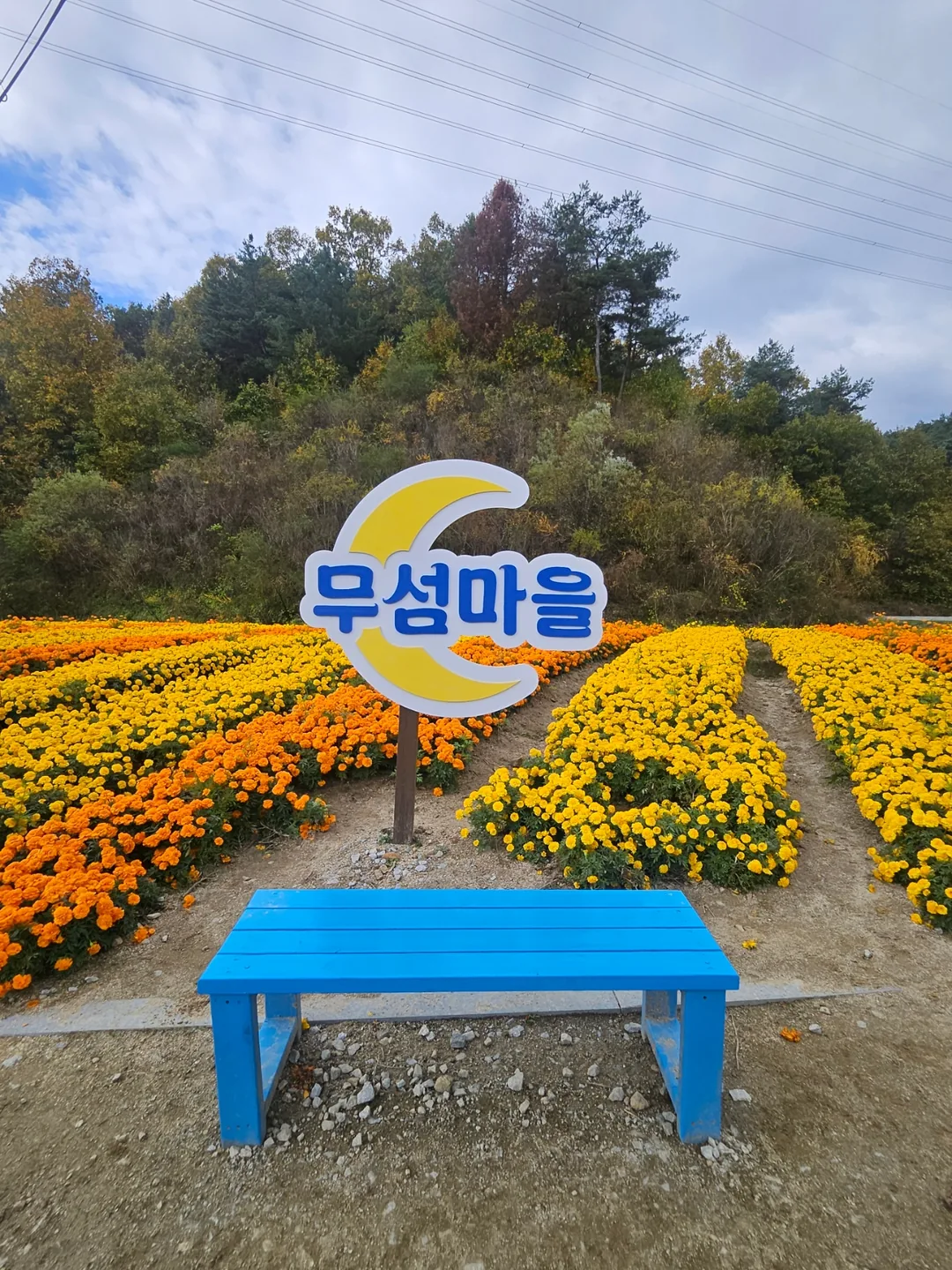 🇰🇷Cầu gỗ độc mộc Oenamu ở làng Museom