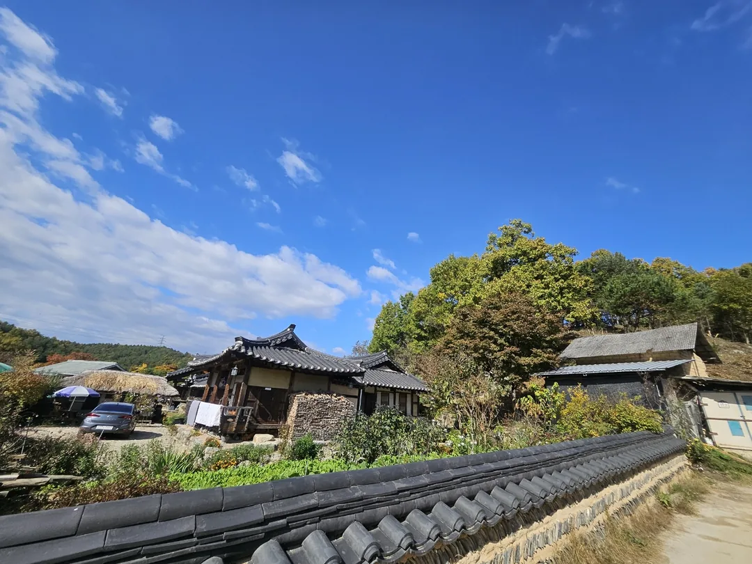 🇰🇷Cầu gỗ độc mộc Oenamu ở làng Museom