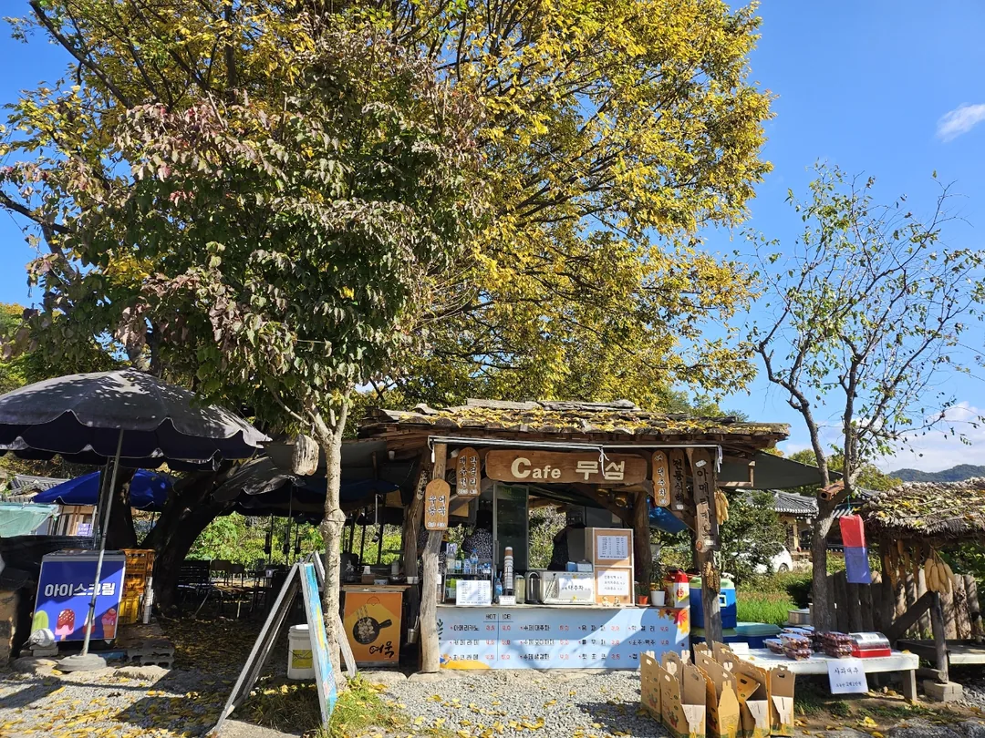 🇰🇷Cầu gỗ độc mộc Oenamu ở làng Museom