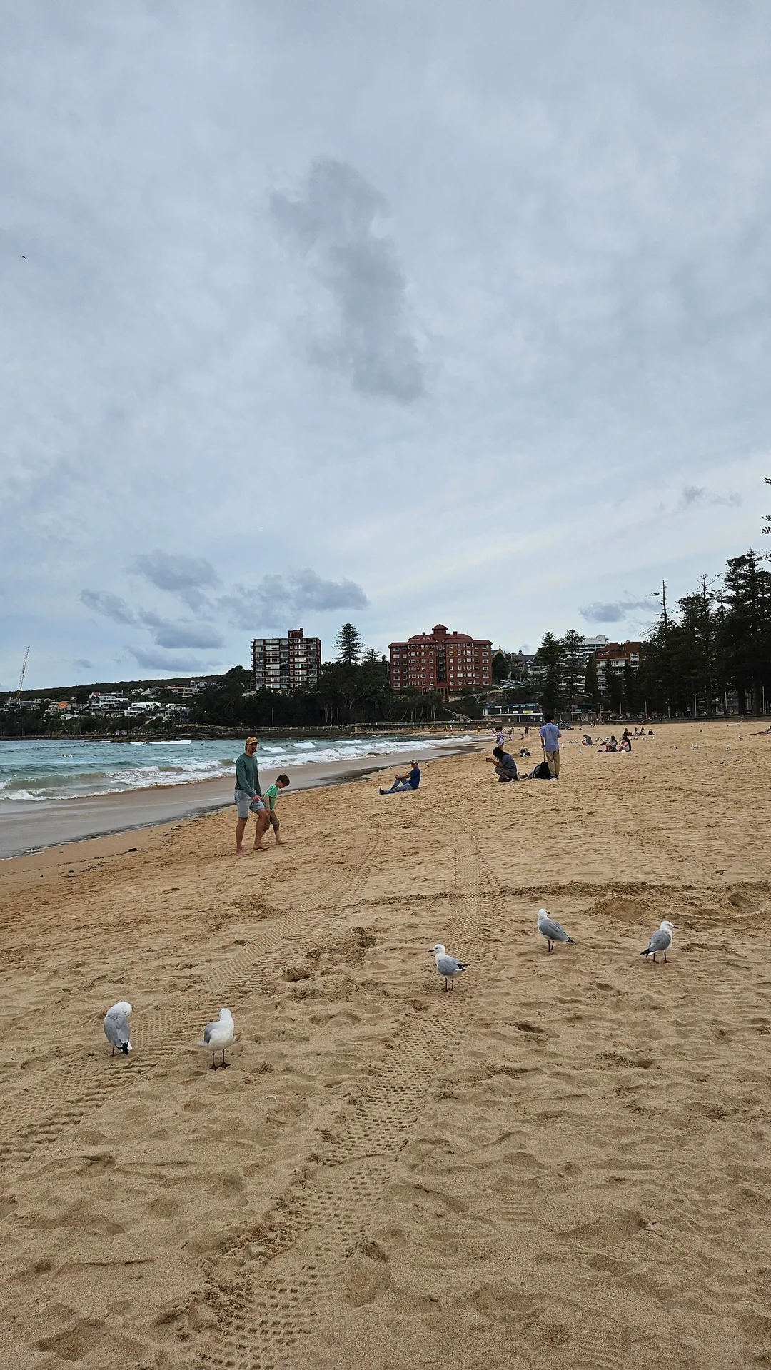 🇦🇺Điểm chữa lành ở Sydney, bãi biển Manly
