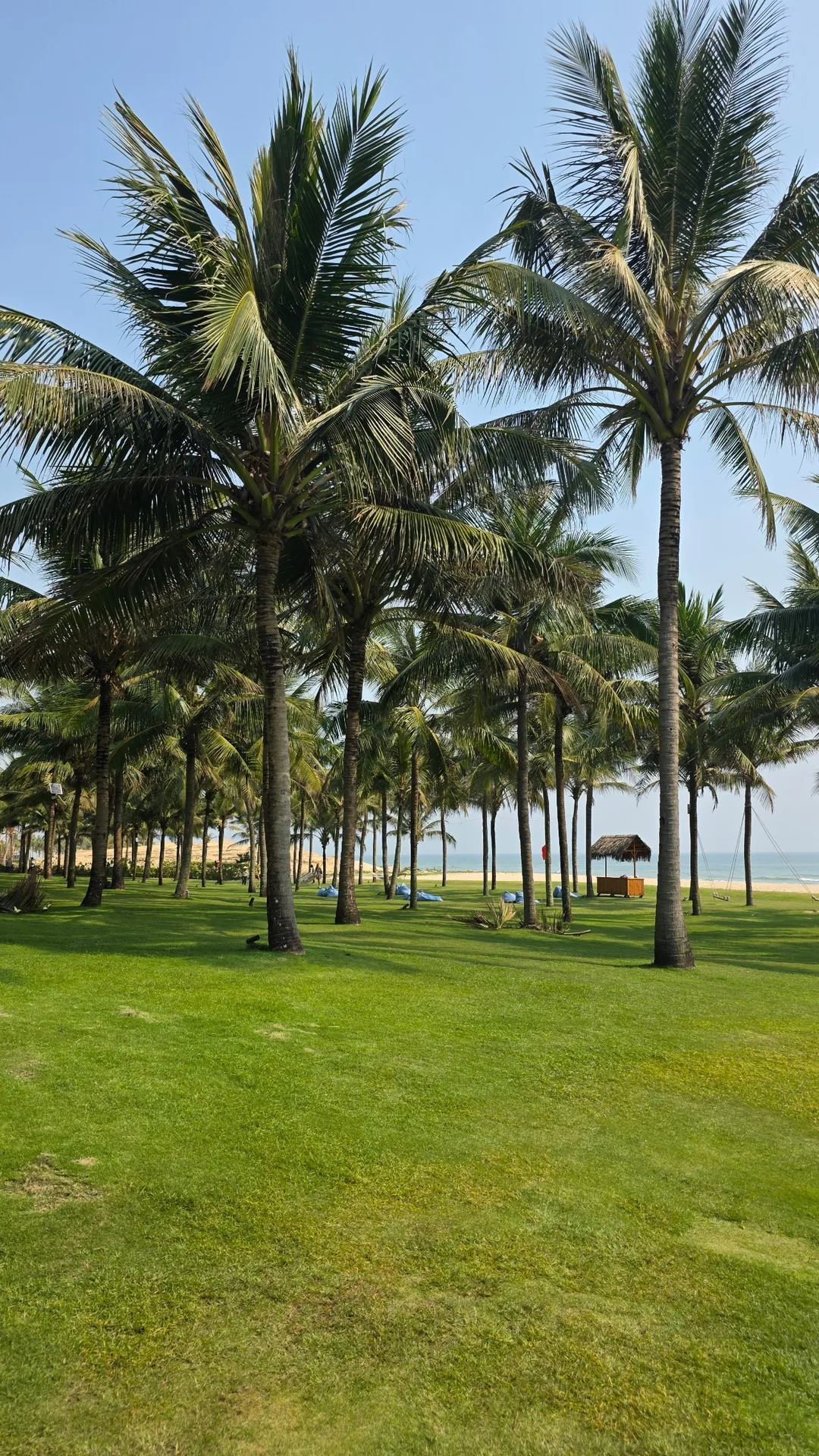✈️Tôi muốn nhảy tùm xuống nước