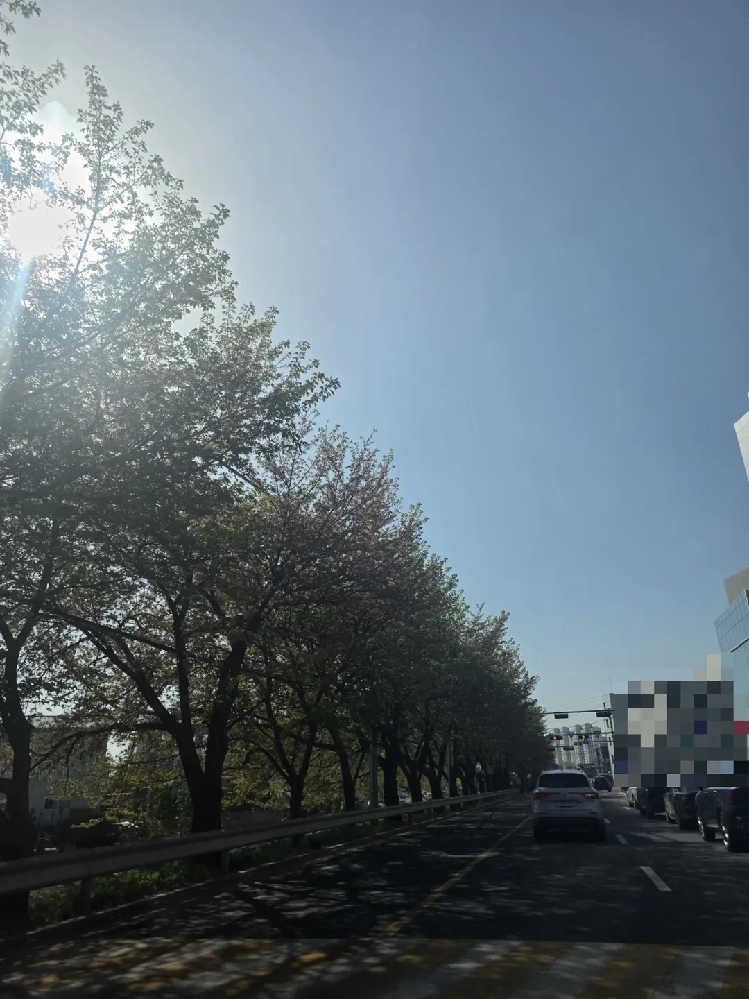 🌸Ôi, đau nhức cả người
