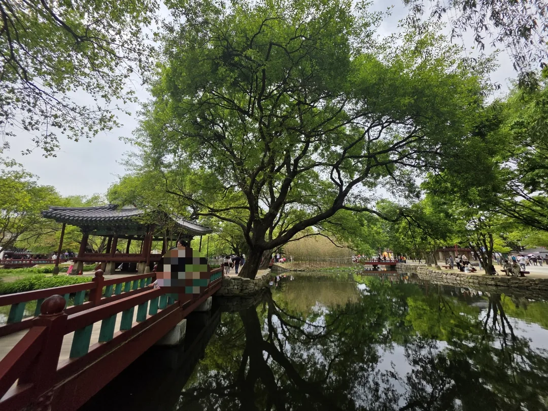 🇰🇷Đã đến lễ hội Chunhyang ở Namwon