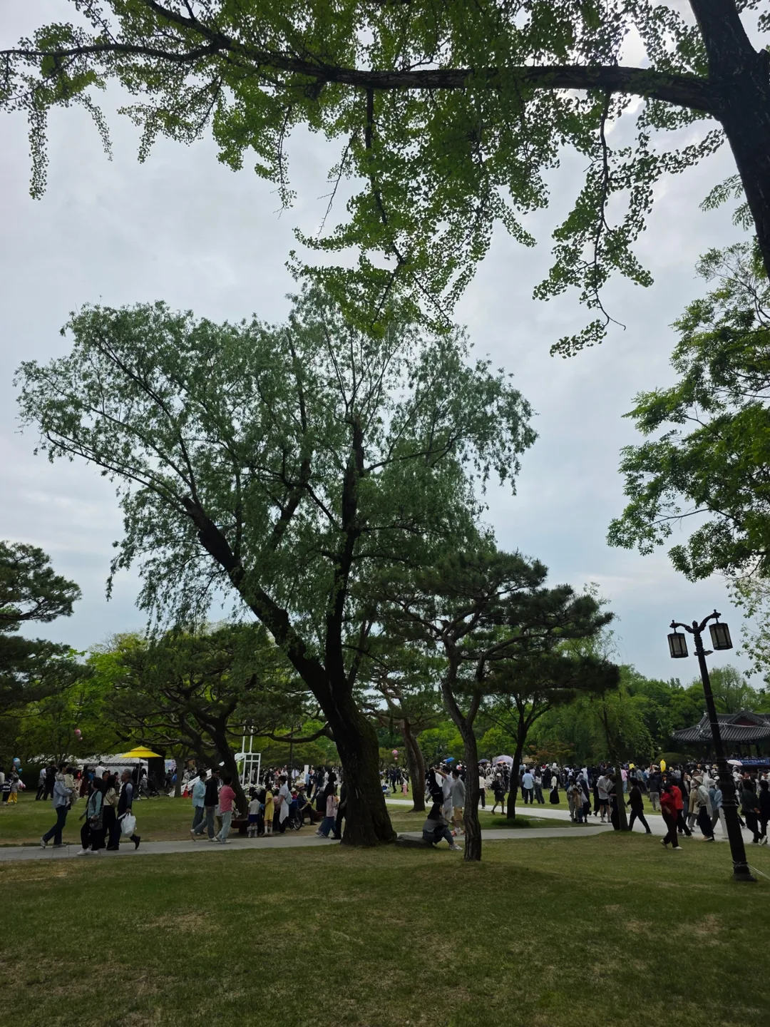 🇰🇷Đã đến lễ hội Chunhyang ở Namwon