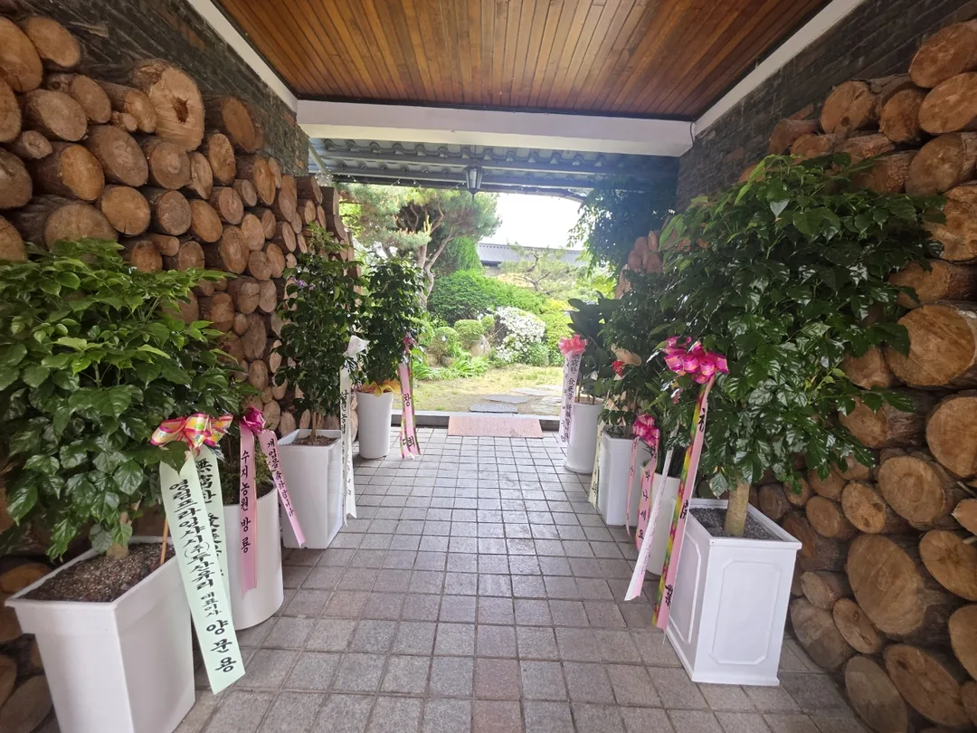 🇰🇷 Địa điểm nổi tiếng về trà Ssanghwa ở Namwon, quán cà phê hanok Tteul Arae