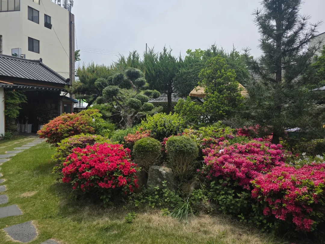 🇰🇷 Địa điểm nổi tiếng về trà Ssanghwa ở Namwon, quán cà phê hanok Tteul Arae