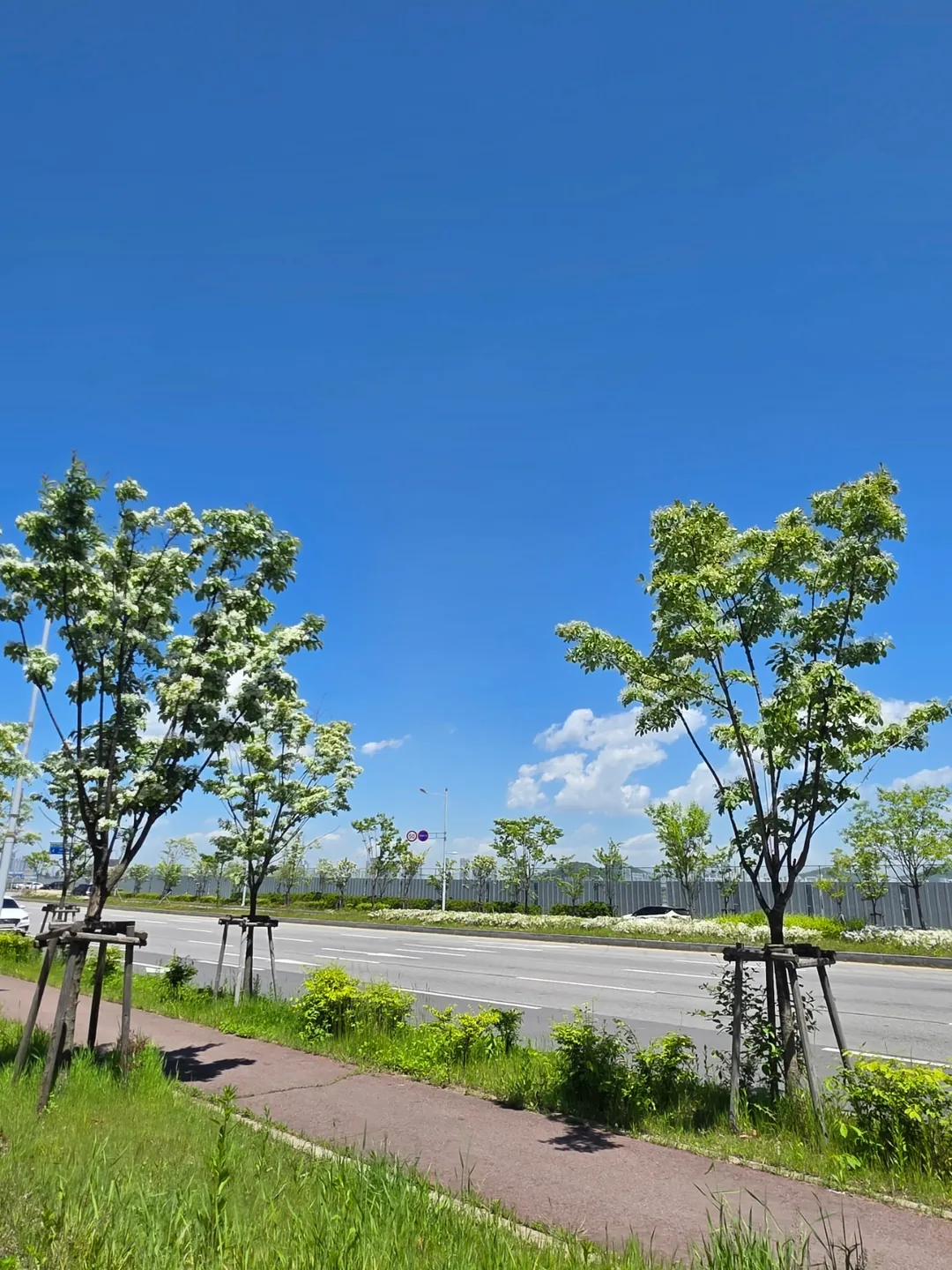Thời tiết khiến không muốn làm việc