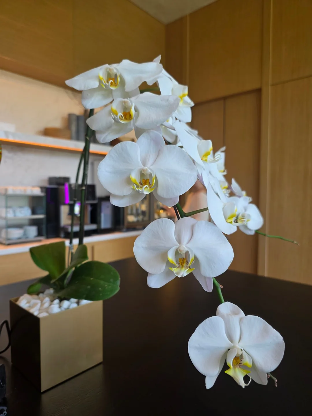 🇻🇳[Silla Monogram Đà Nẵng] Tiện ích_Không gian chữa lành yên tĩnh và thanh lịch, Monogram Lounge