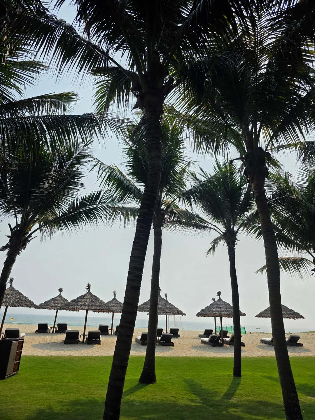 🇻🇳[Shilla Monogram Đà Nẵng] Hoạt động_ Từ bãi biển đến lớp học yoga!!👍