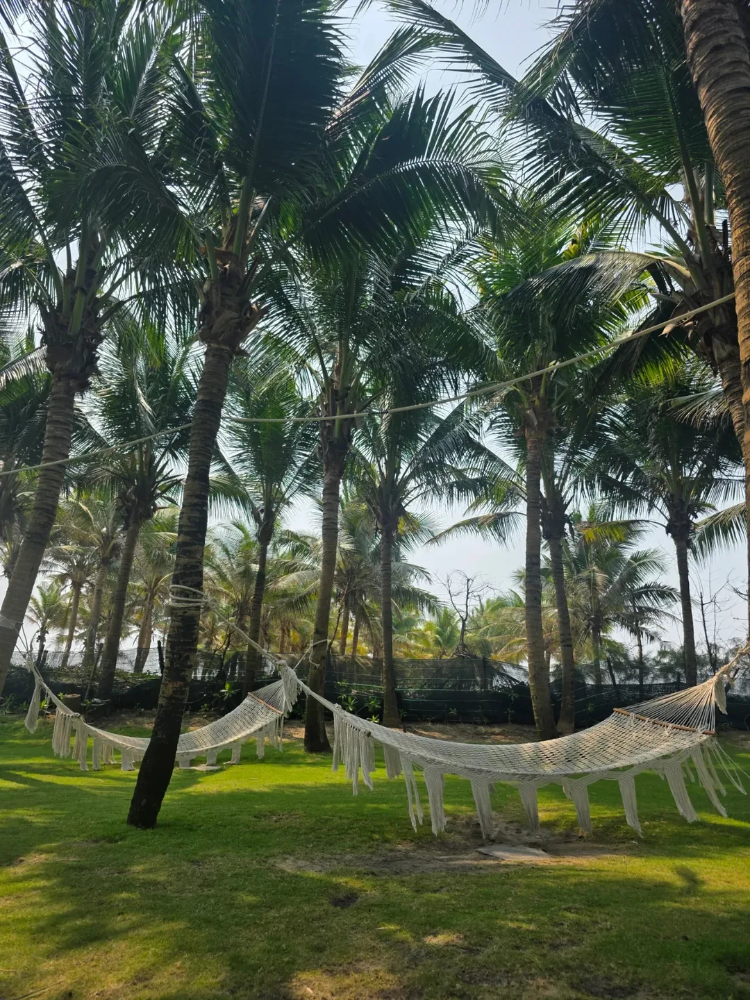 🇻🇳[Shilla Monogram Đà Nẵng] Hoạt động_ Từ bãi biển đến lớp học yoga!!👍