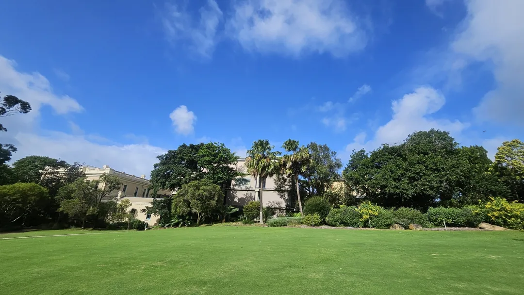 🇦🇺Điểm chữa lành bên cạnh Nhà hát Opera, Vườn Bách thảo Hoàng gia Sydney
Royal Botanic Garden Sydney