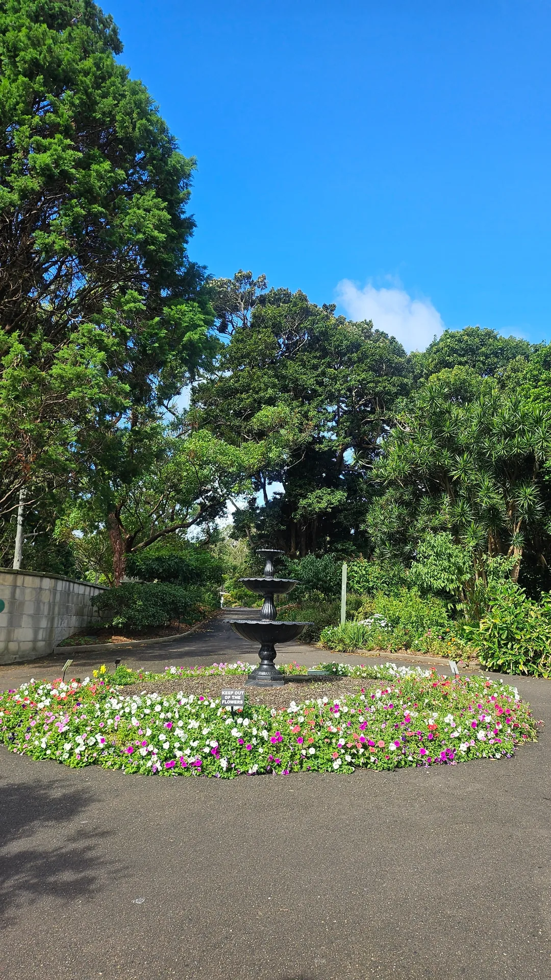 🇦🇺Điểm chữa lành bên cạnh Nhà hát Opera, Vườn Bách thảo Hoàng gia Sydney
Royal Botanic Garden Sydney