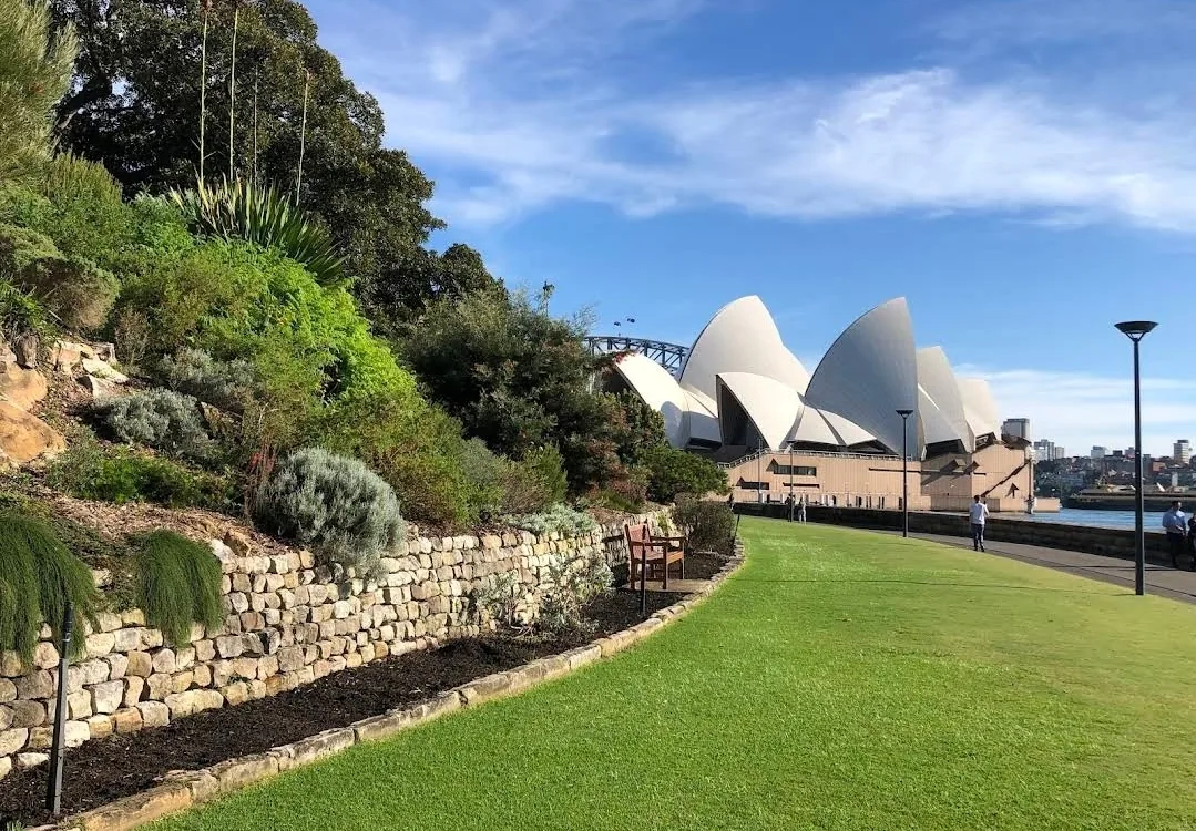 🇦🇺Điểm chữa lành bên cạnh Nhà hát Opera, Vườn Bách thảo Hoàng gia Sydney
Royal Botanic Garden Sydney