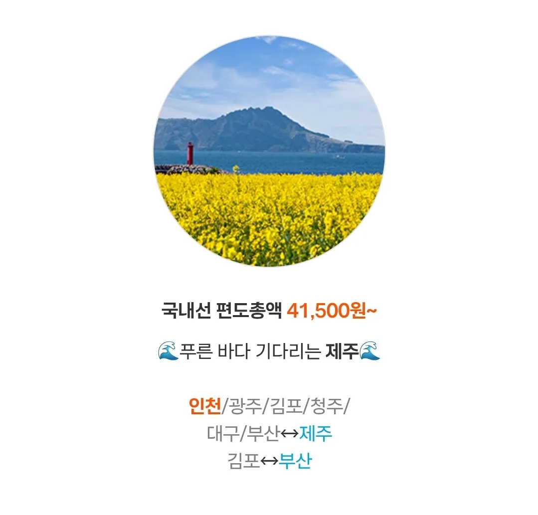✈️Chỉ 3 ngày! Giá đặc biệt Encore của Jeju Air