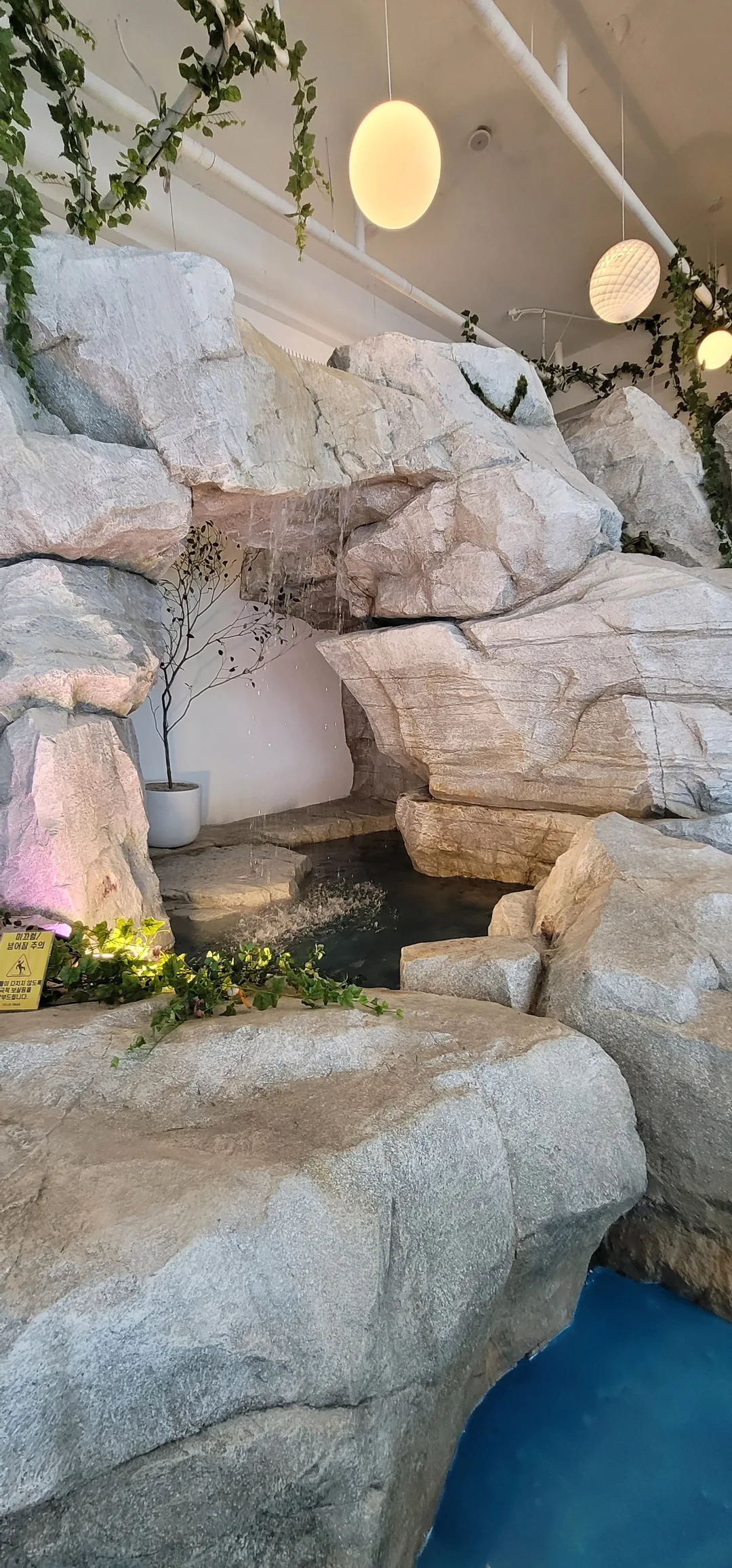 (Du lịch) Đảo Rùa Siheung Quán cà phê bánh ngọt Gardnia