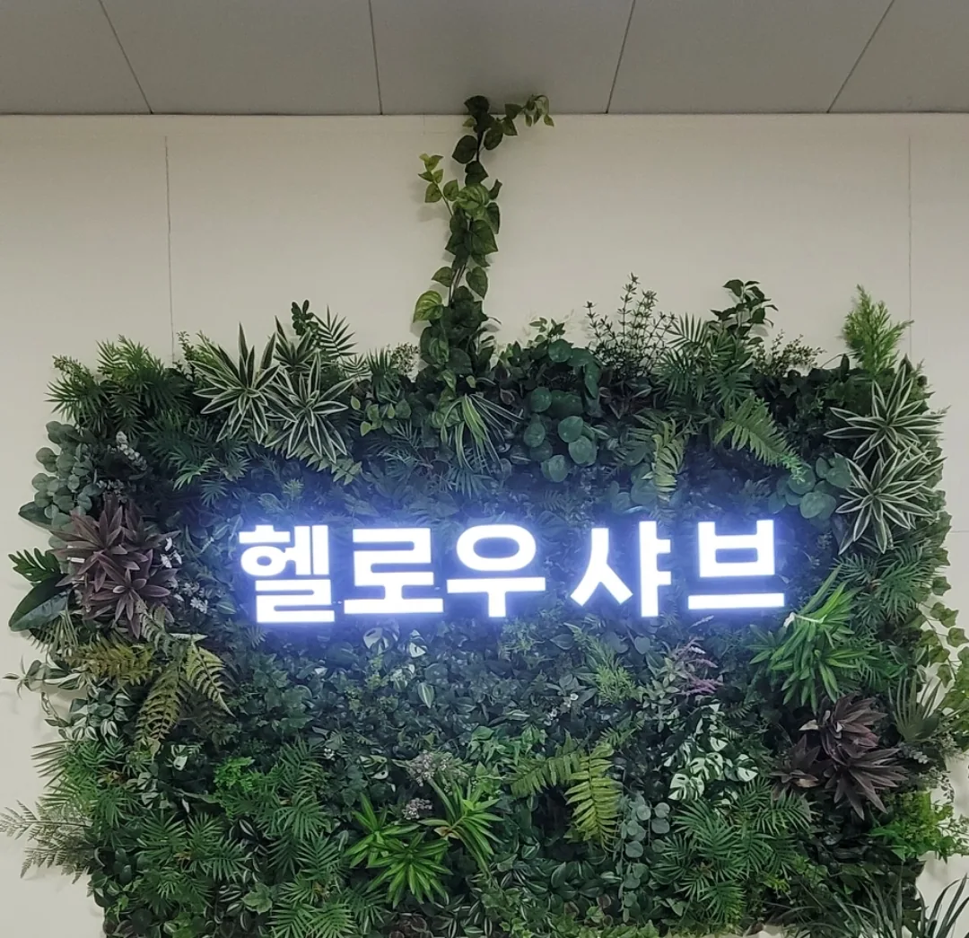 Du lịch) Đảo Geobukseom Hello Shabu