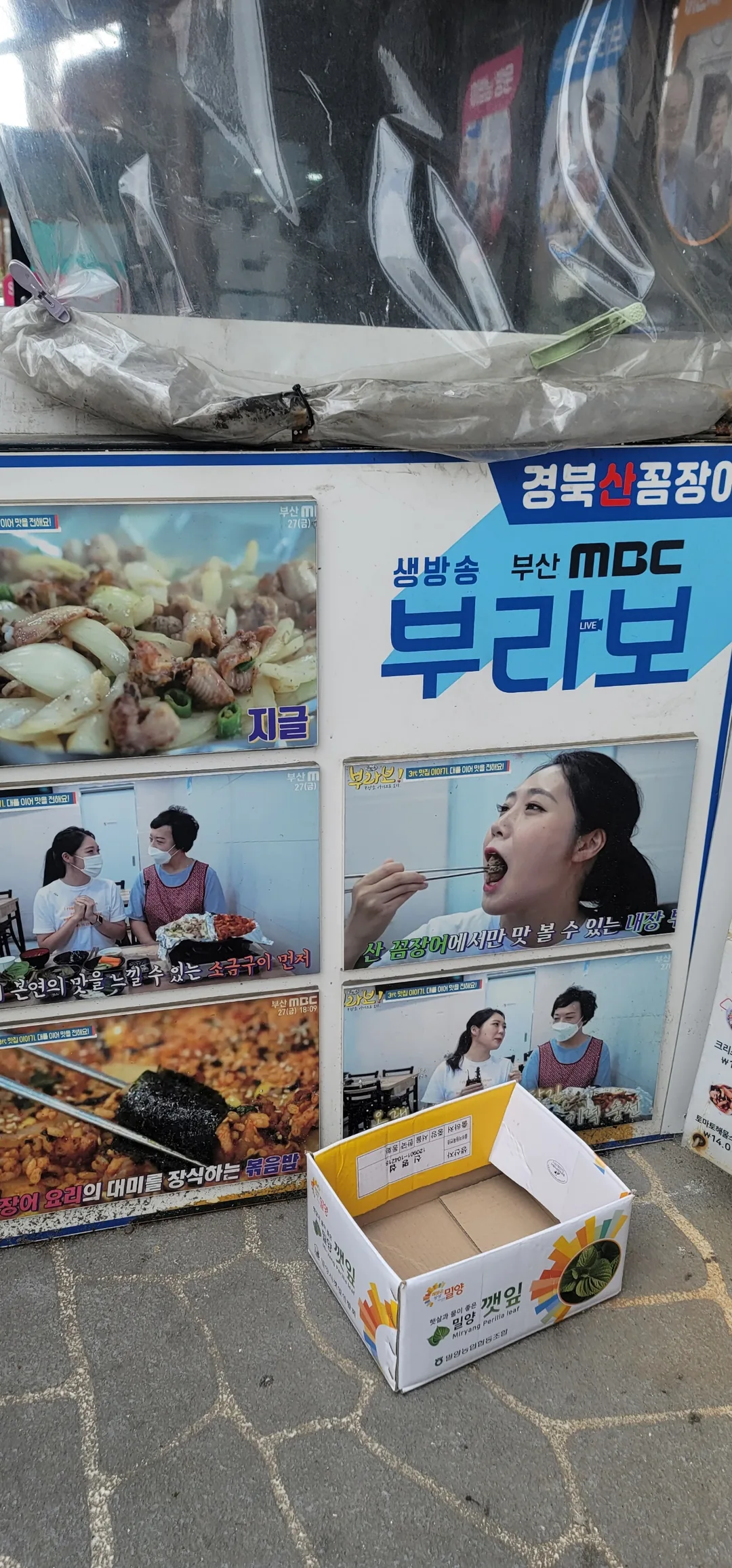 (Du lịch) Lươn núi Gyeongbuk ở Busan