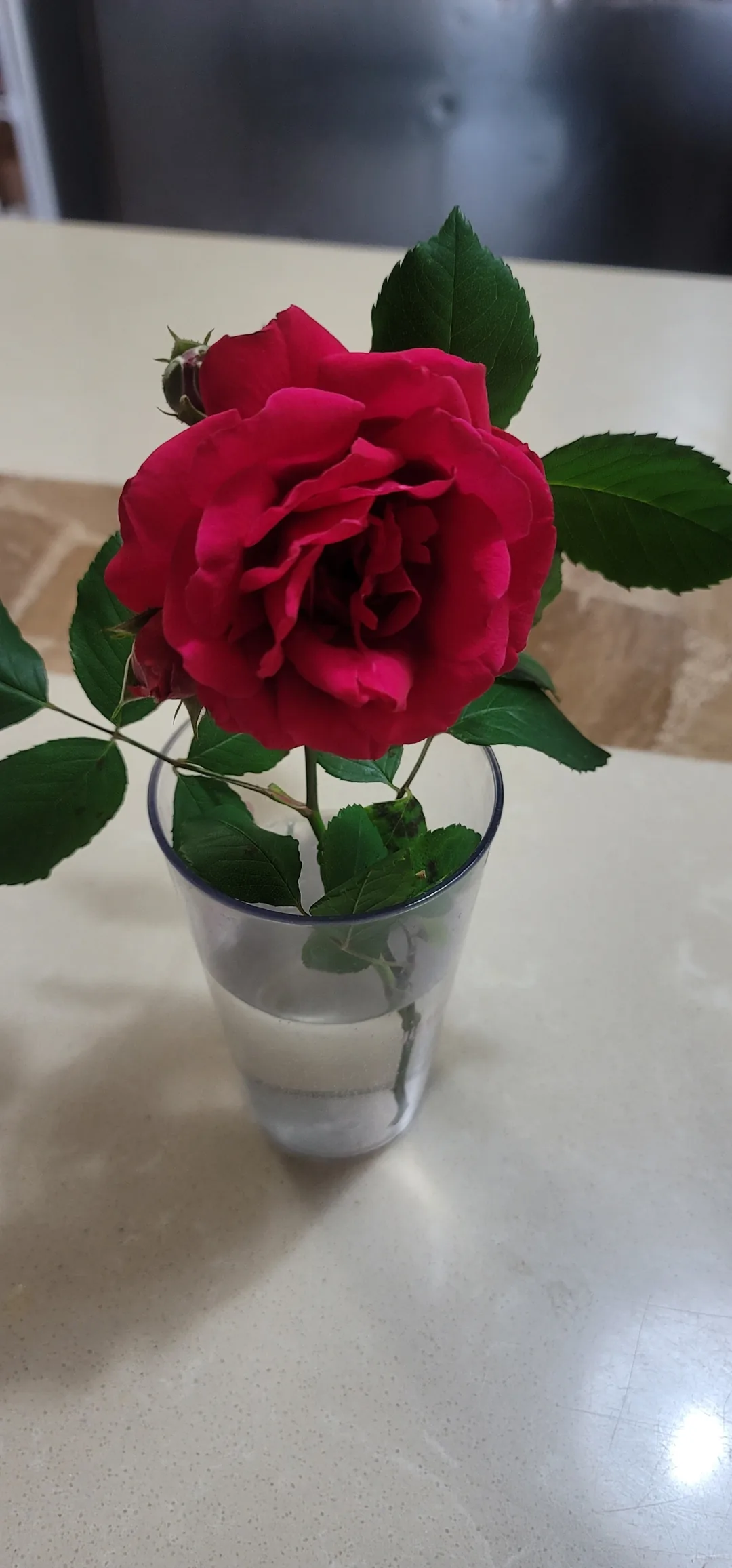 Ngày cười rạng rỡ