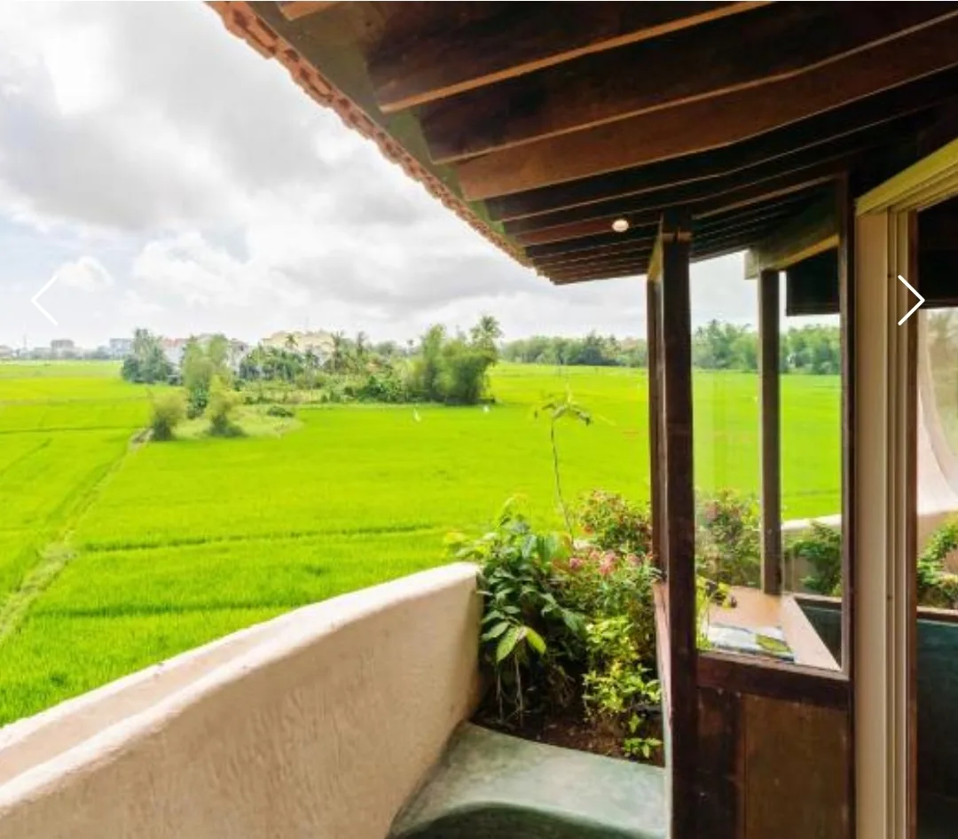 Khách sạn view ruộng lúa và ruộng vườn giữa những bờ ruộng và bờ mương ở Hội An