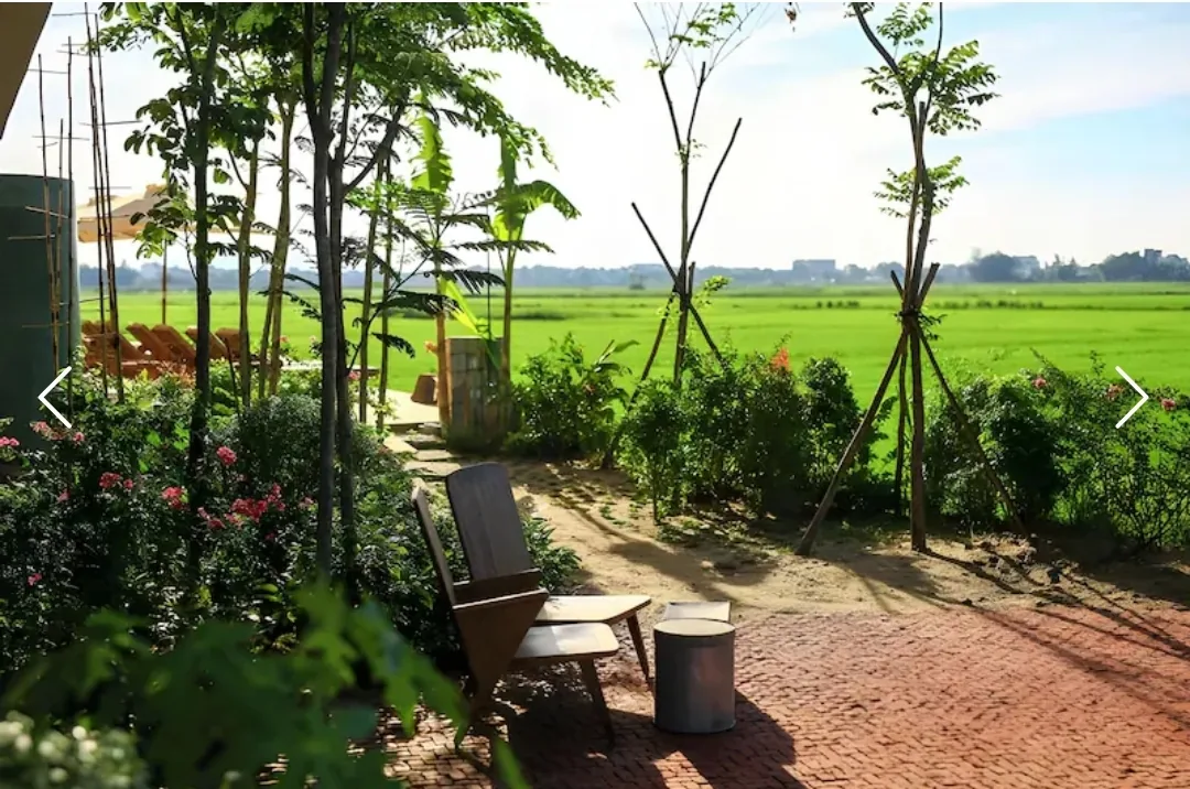 Khách sạn view ruộng lúa và ruộng vườn giữa những bờ ruộng và bờ mương ở Hội An