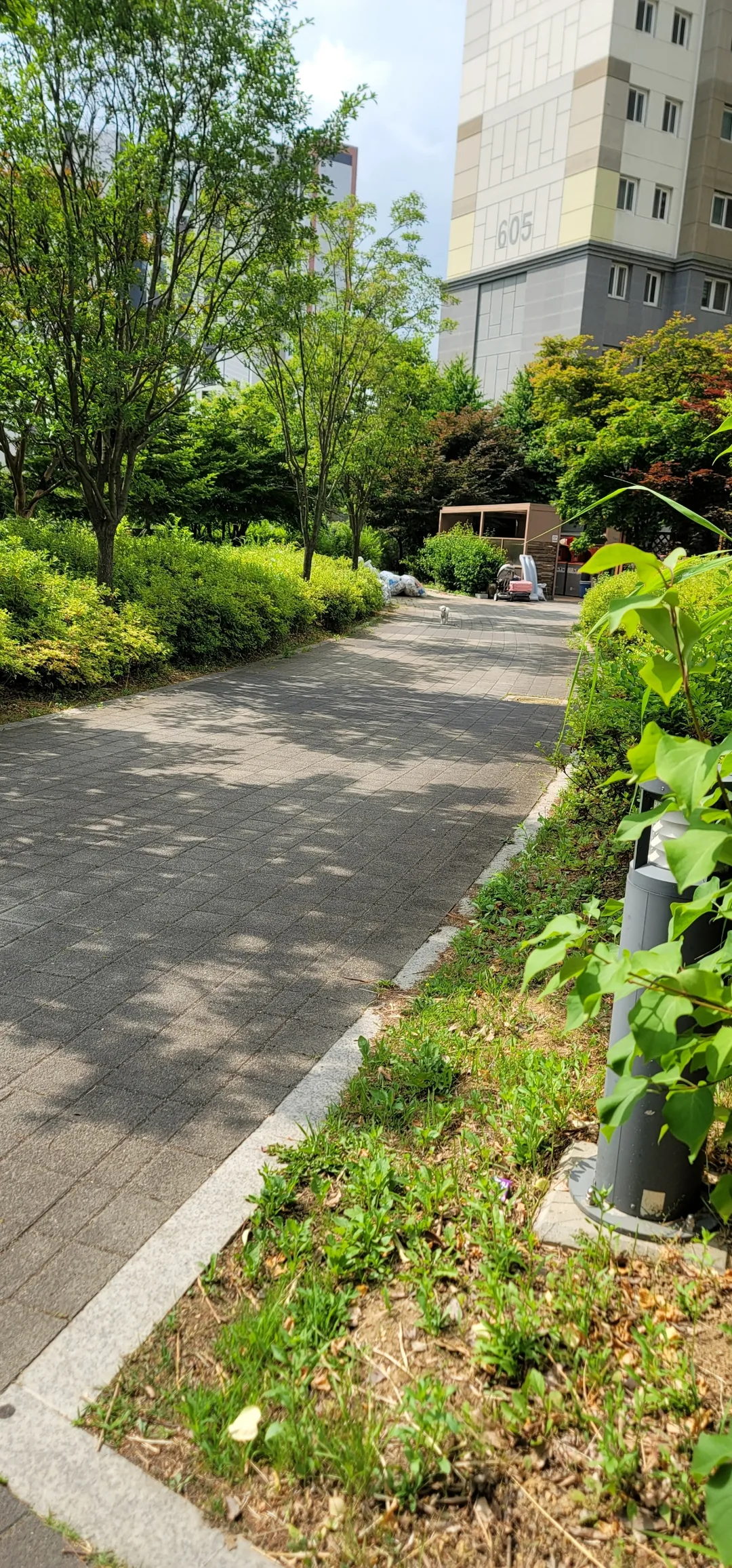 Tư thế đứng nghiêm