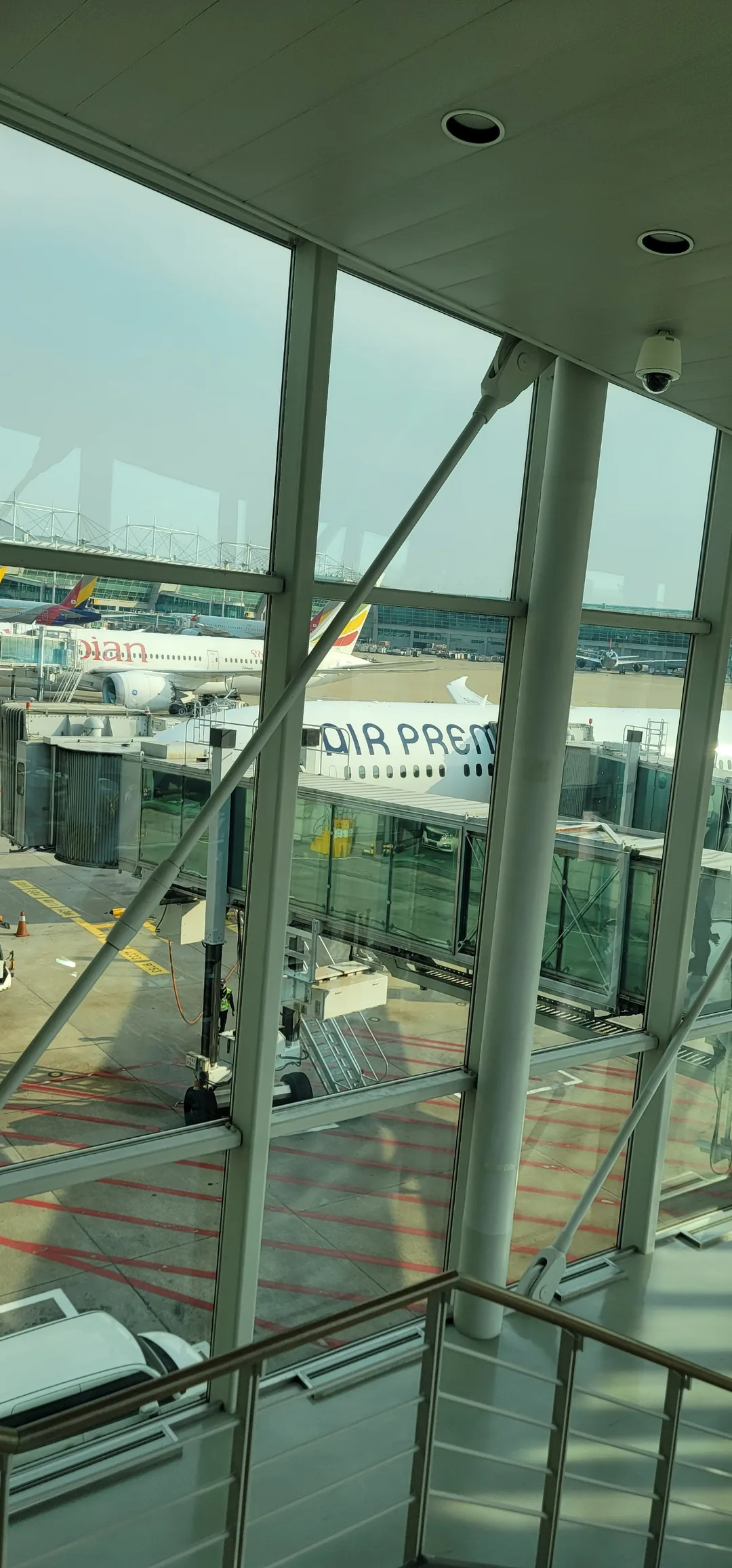 ✈️Review chuyến đi Đà Nẵng) Mình đã thử bay Air Premia.