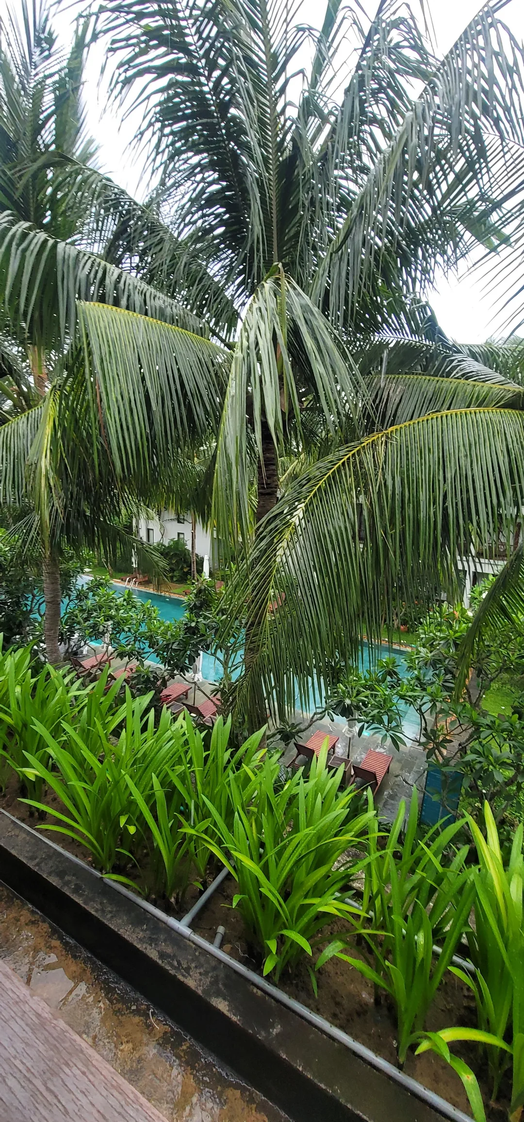 ✈️review) Khu nghỉ dưỡng Hoi An Emerald Riverside Resort