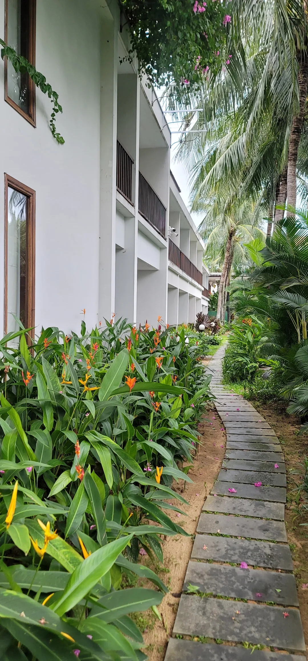 ✈️review) Khu nghỉ dưỡng Hoi An Emerald Riverside Resort