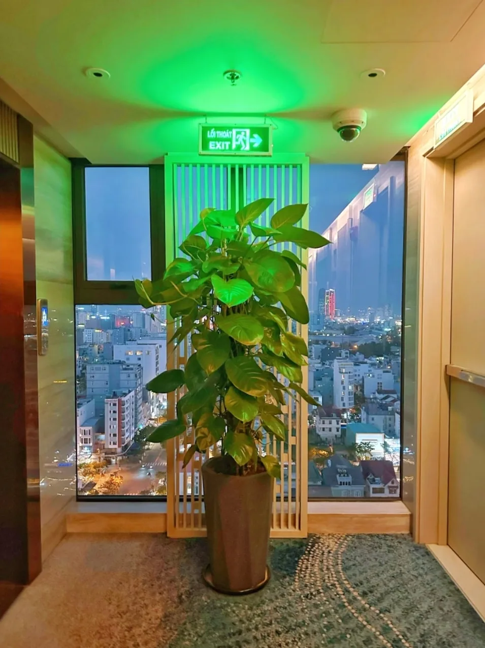 ✈️Review) Xem pháo hoa quốc tế Đà Nẵng - thoải mái từ khách sạn Radisson~