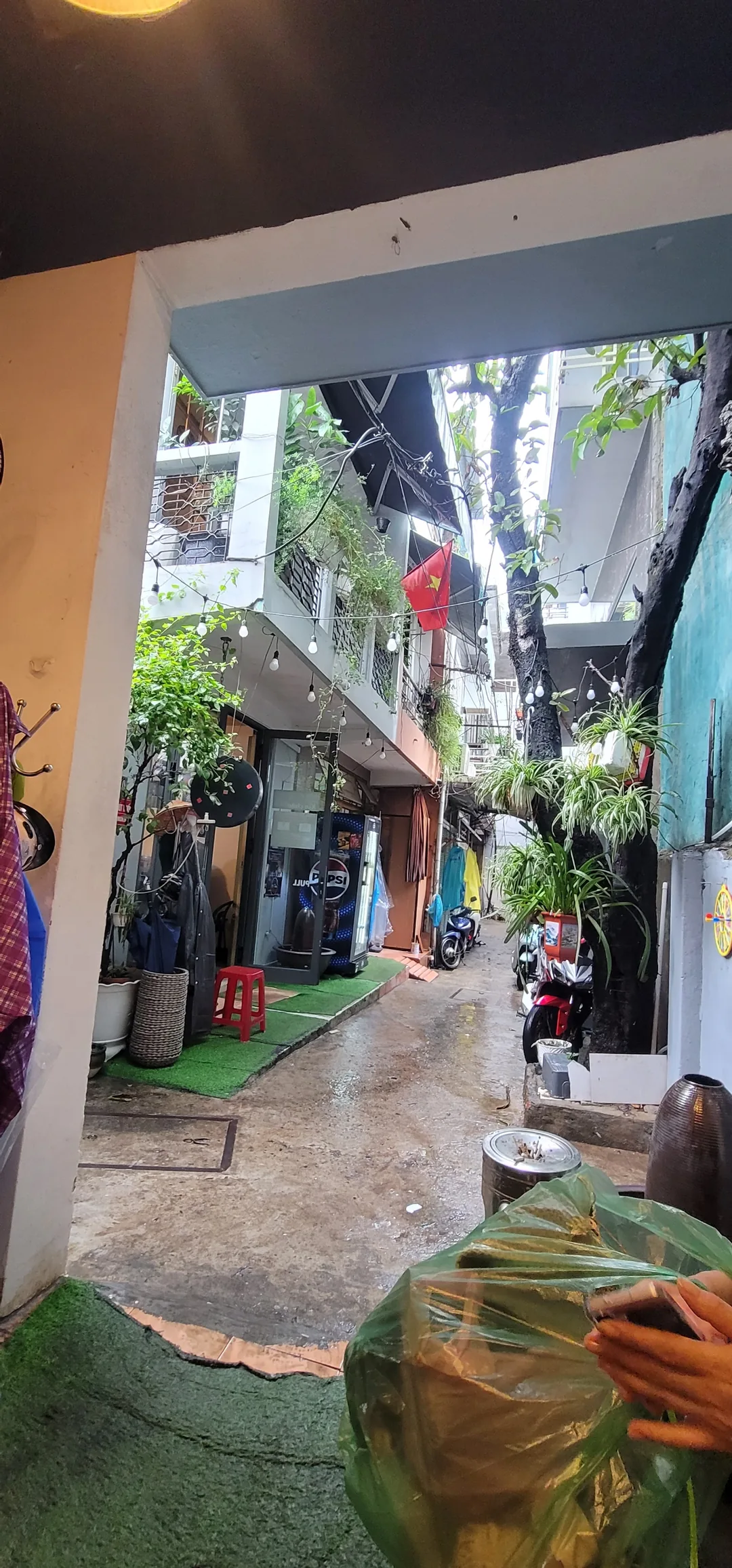 ✈️Review) Quán bánh mì trứng ngon - Bánh Mì Cô Tiên