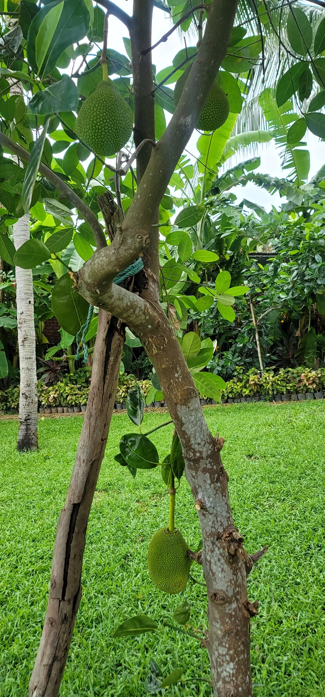 ✈️review) Vinh Emerald Resort - bữa sáng và các tiện ích khác