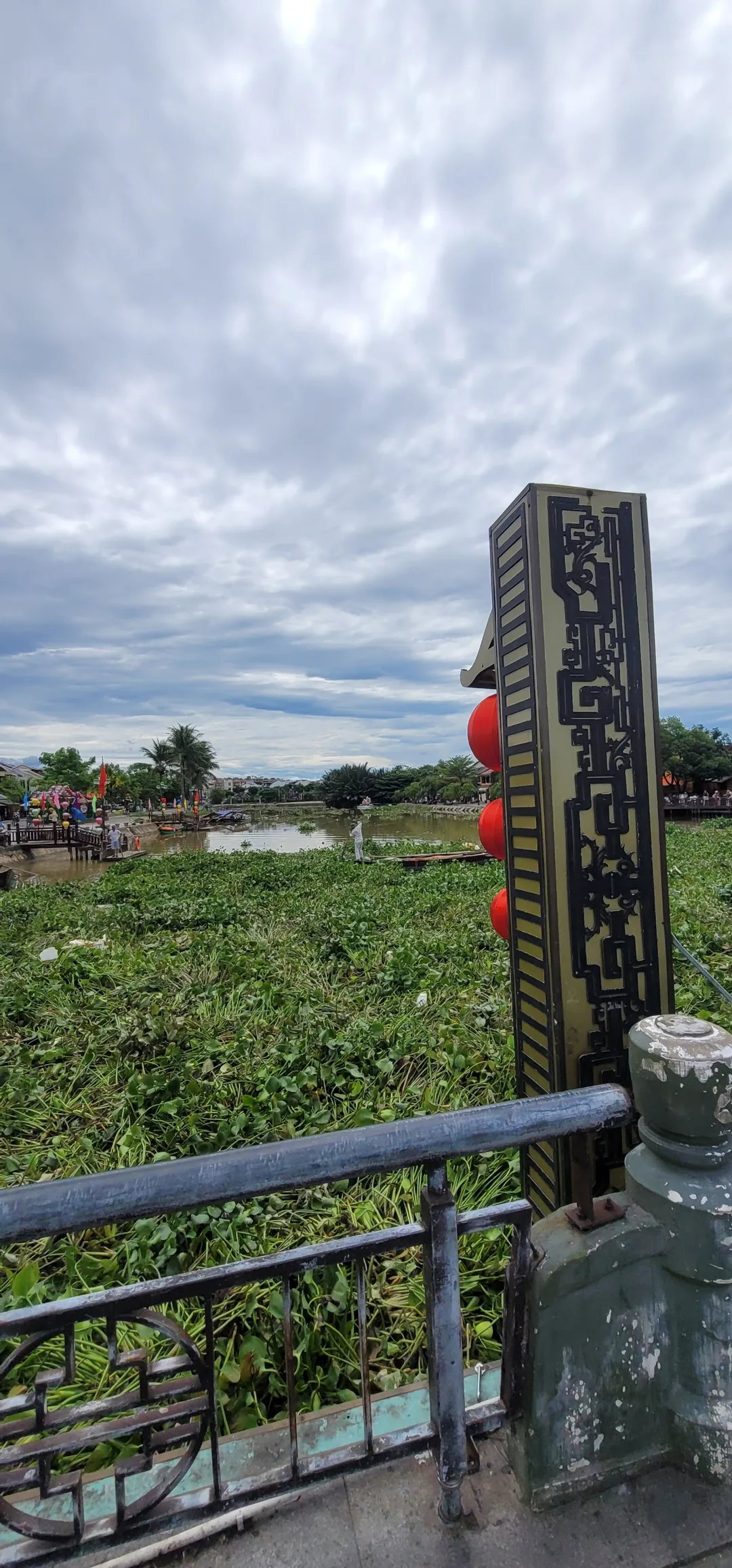 ✈️Review) Những đám cỏ rác trôi dạt xuống sông Thu Bồn ở Hội An