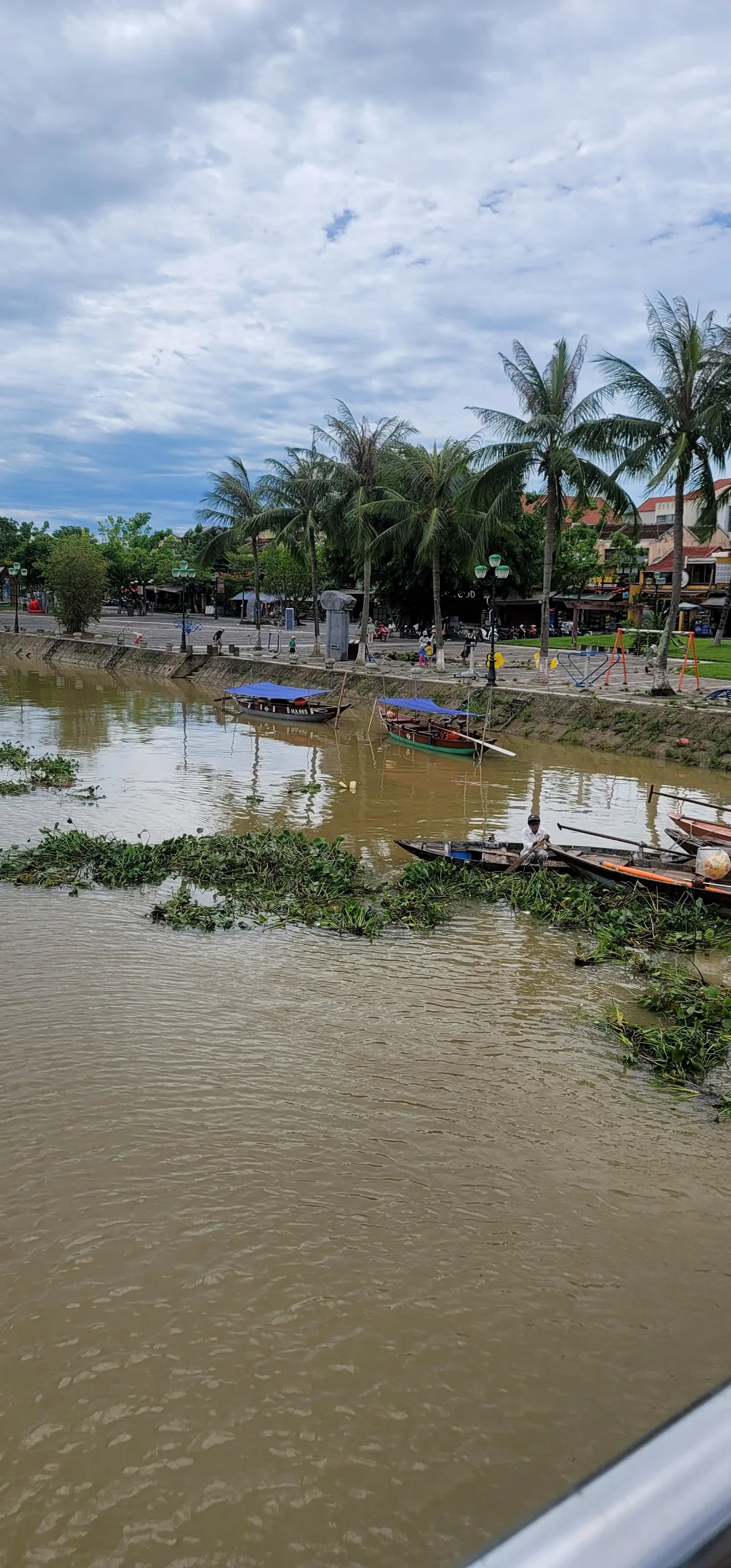✈️Review) Những đám cỏ rác trôi dạt xuống sông Thu Bồn ở Hội An
