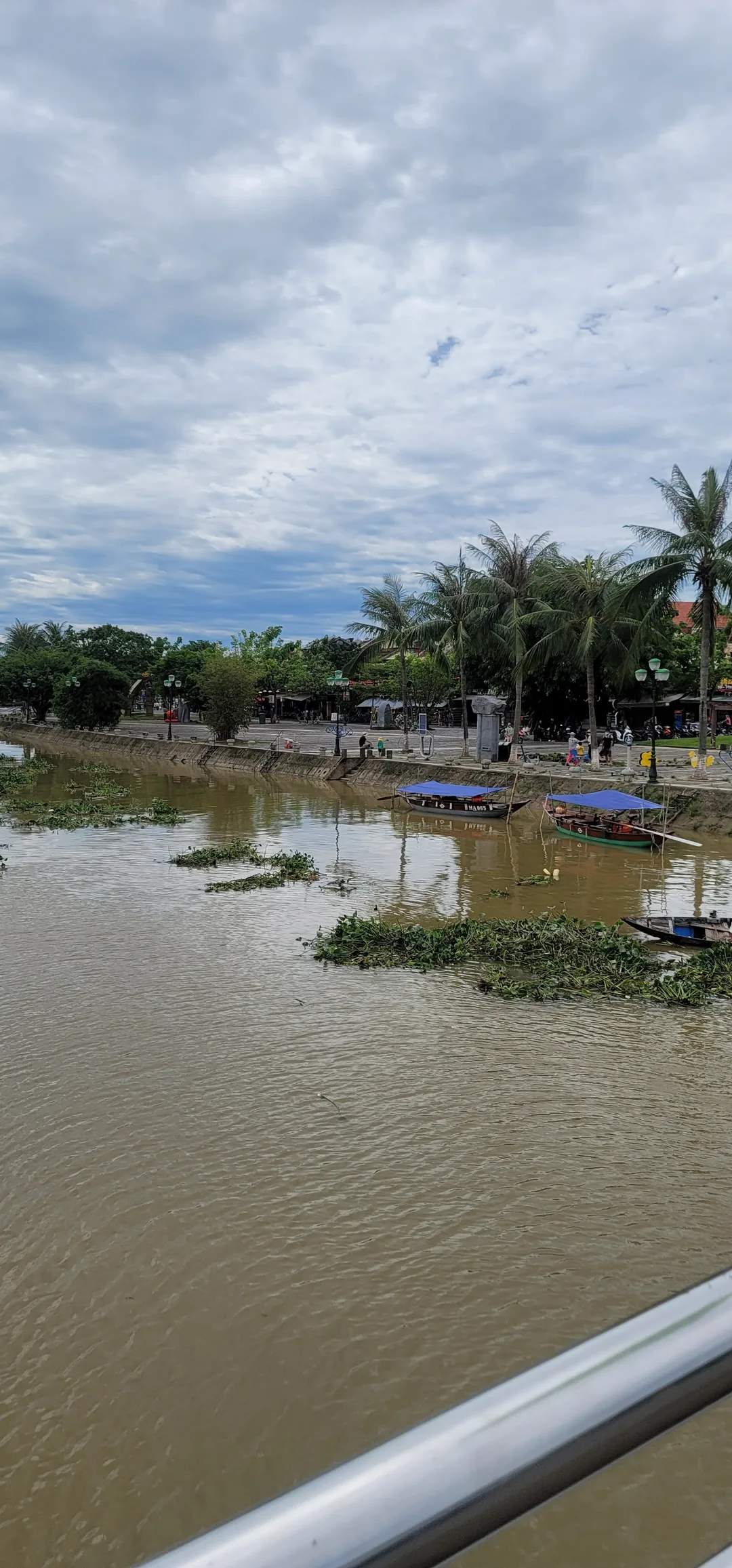 ✈️Review) Những đám cỏ rác trôi dạt xuống sông Thu Bồn ở Hội An