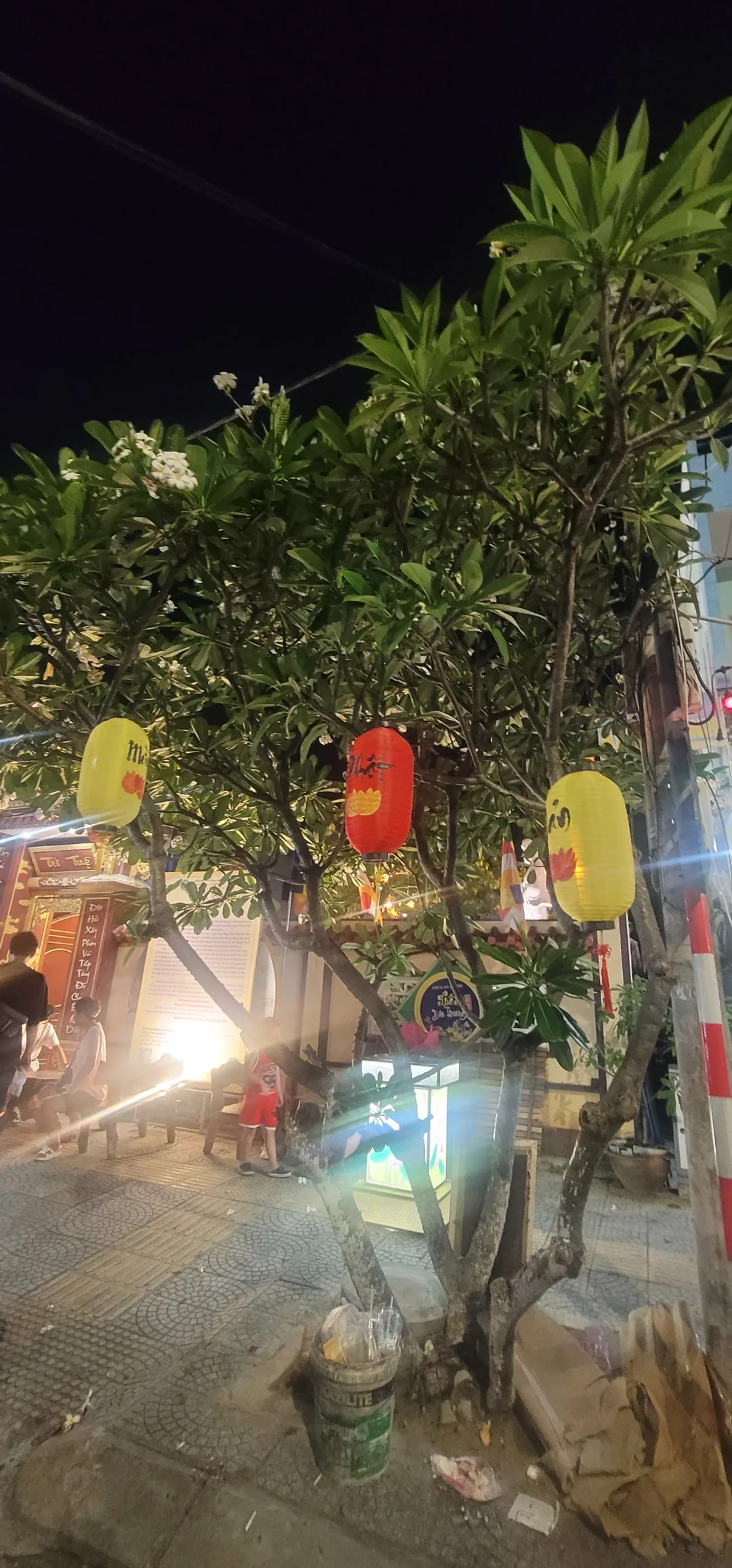 ✈️Review) Chợ đêm Đà Nẵng là chợ đêm Sơn Trà