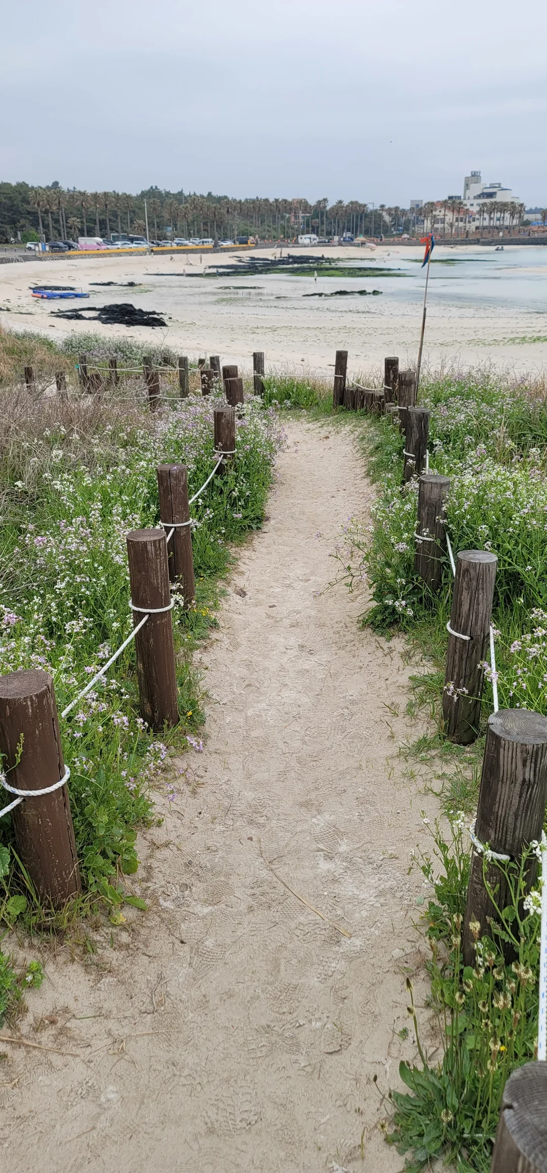 Du lịch) Bãi biển Geumneung, Jeju