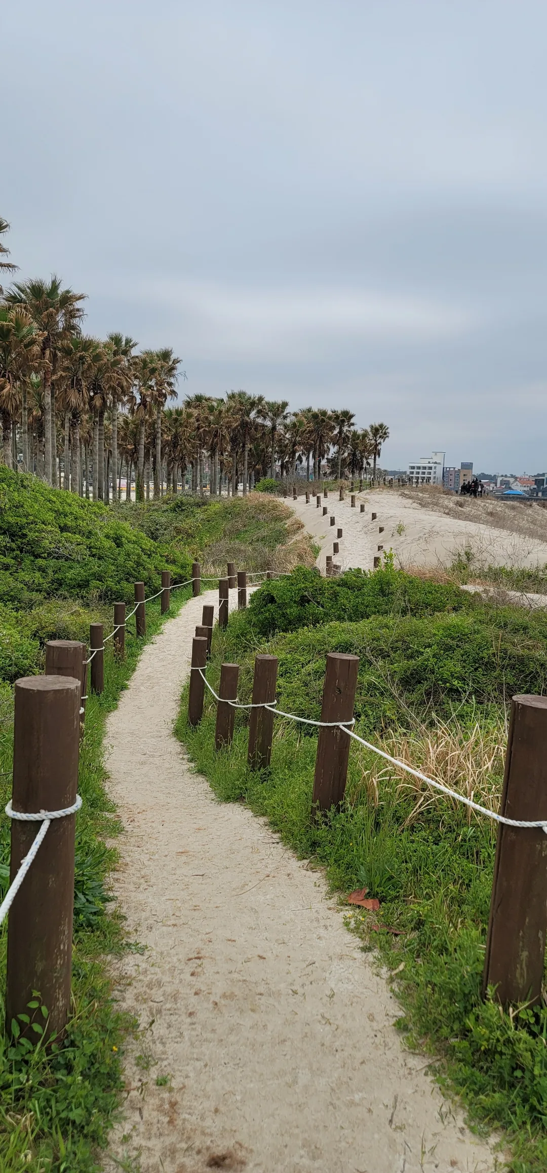 Du lịch) Bãi biển Geumneung, Jeju
