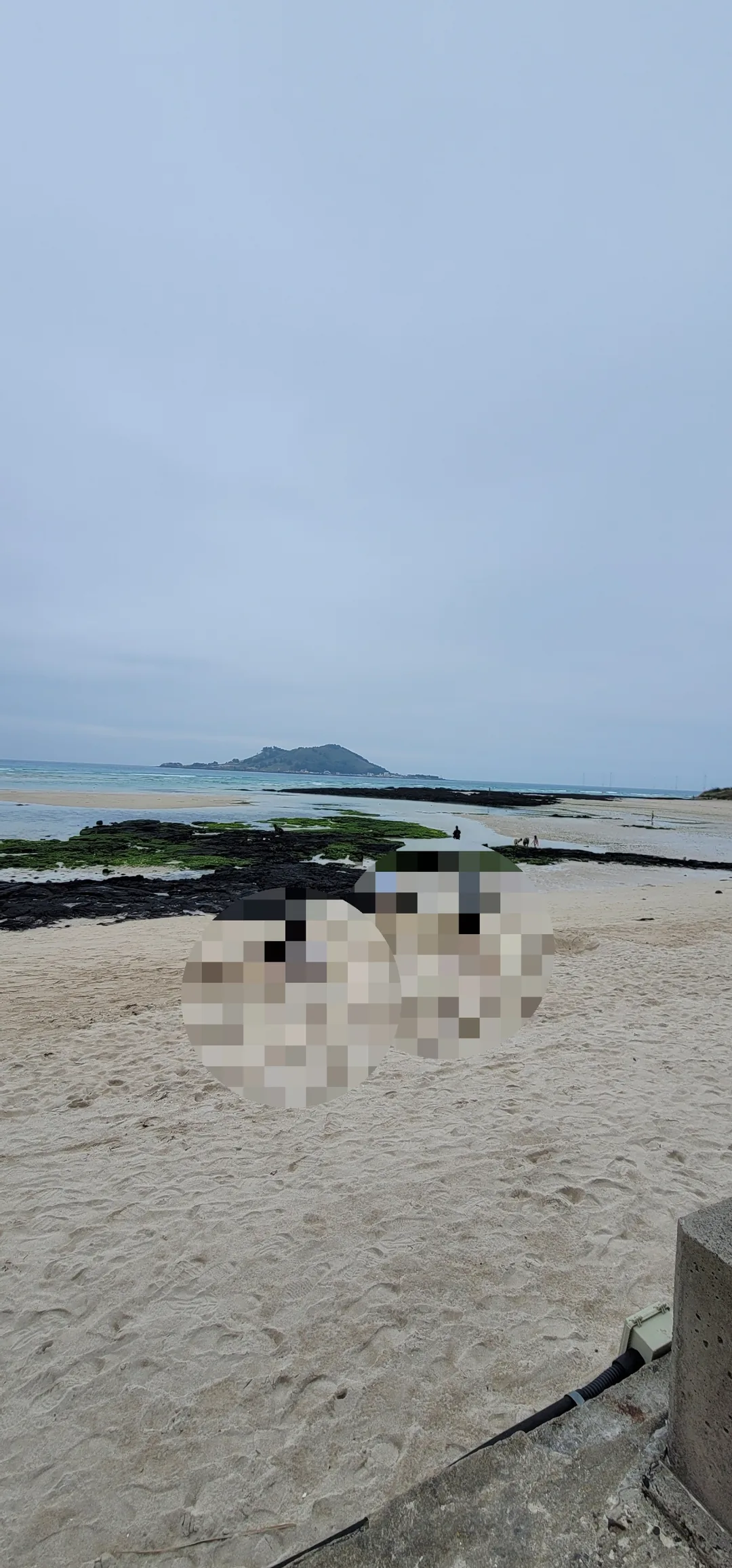 Du lịch) Bãi biển Geumneung, Jeju