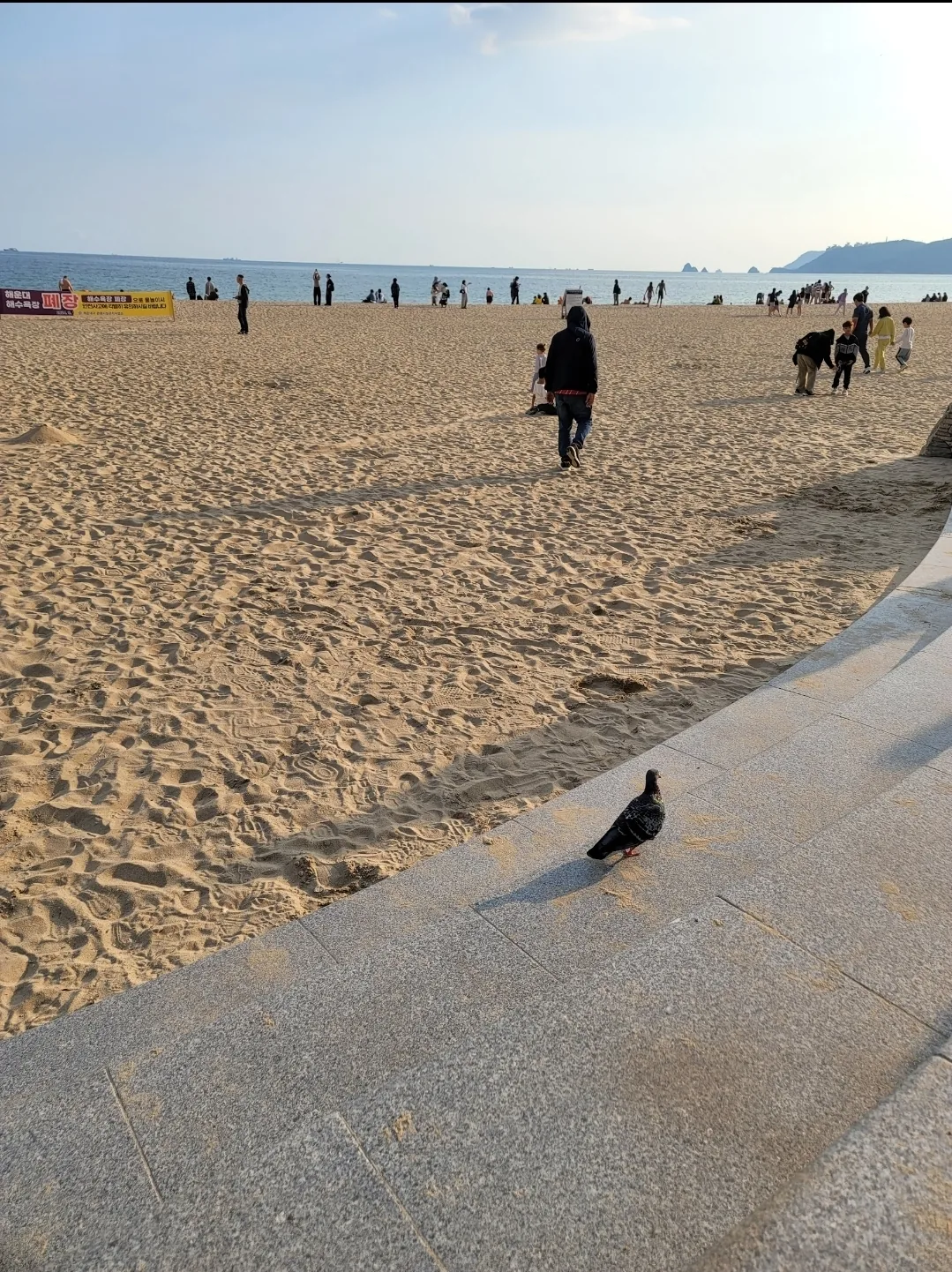 Du lịch) Khách sạn Elysia Haeundae Busan