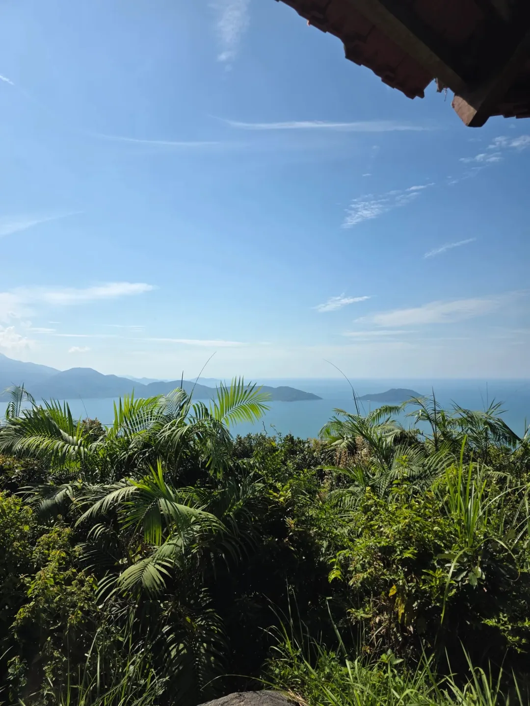 Review) ▶️✍️ Quán ngon view bán đảo Sơn Trà - Đài quan sát Đà Nẵng