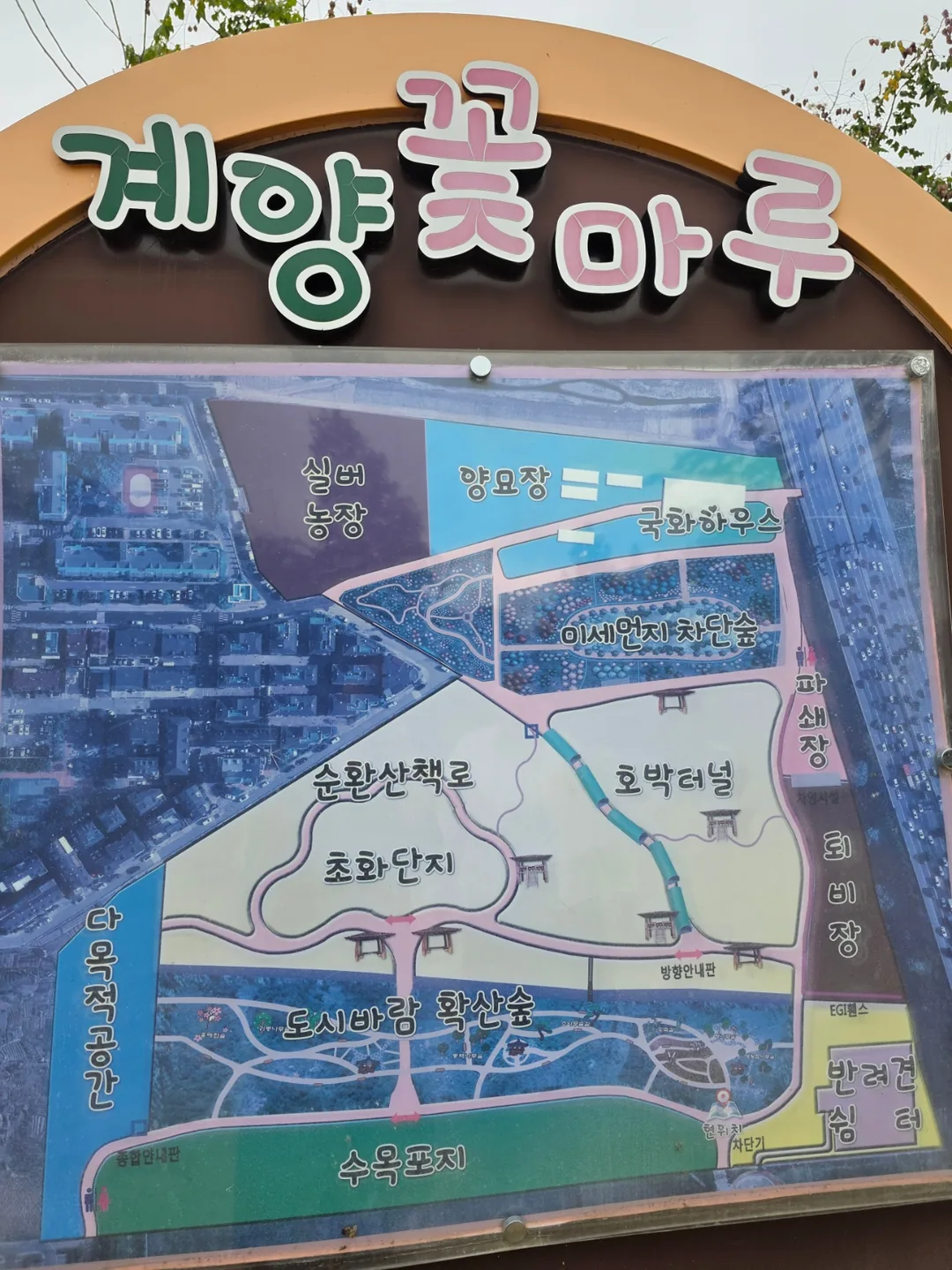 Du lịch) Đồi hoa Gyeyang